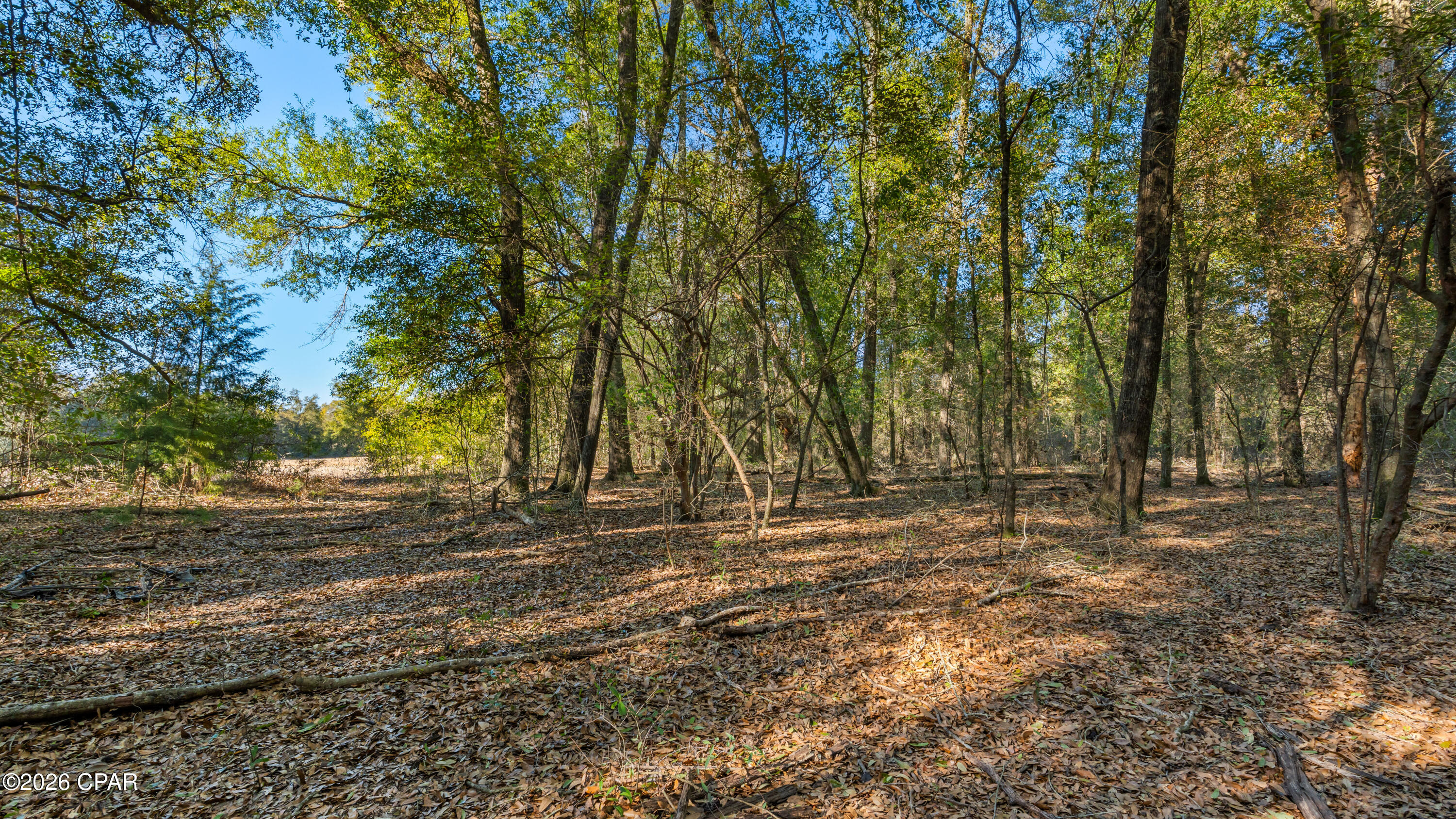 Image 60 For 00 Sylvania Plantation Road