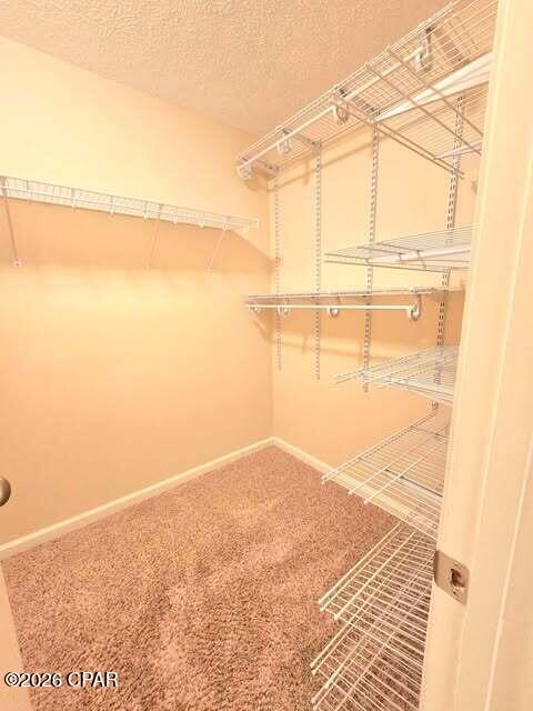 Image 19 For 2703 Camryns Court