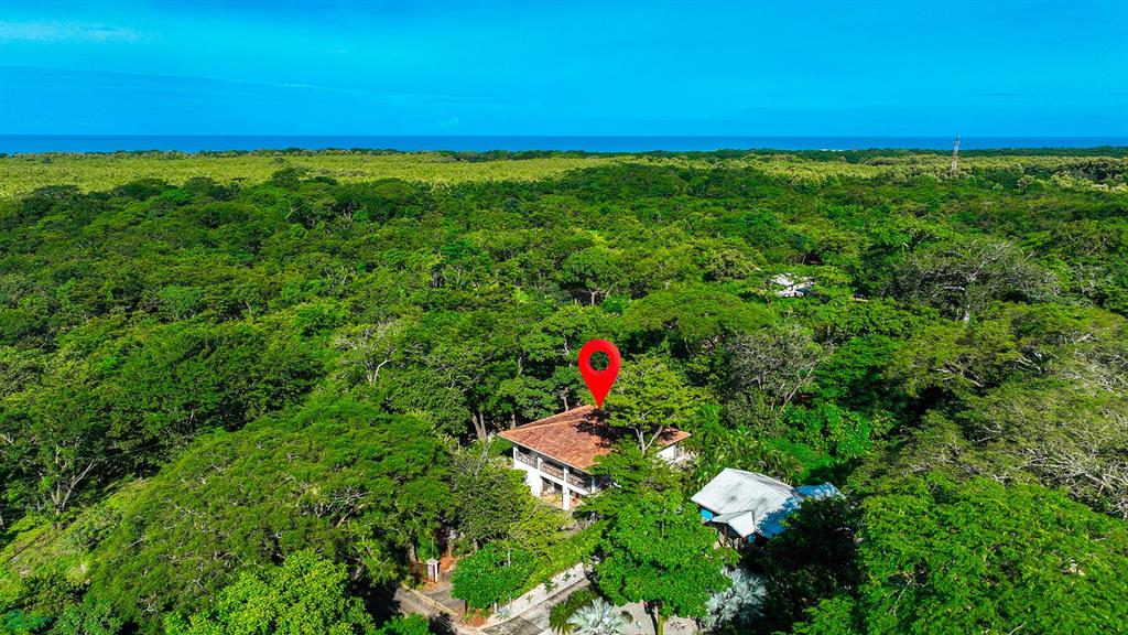 Surf Paradise Casa Blanca Playa Negra