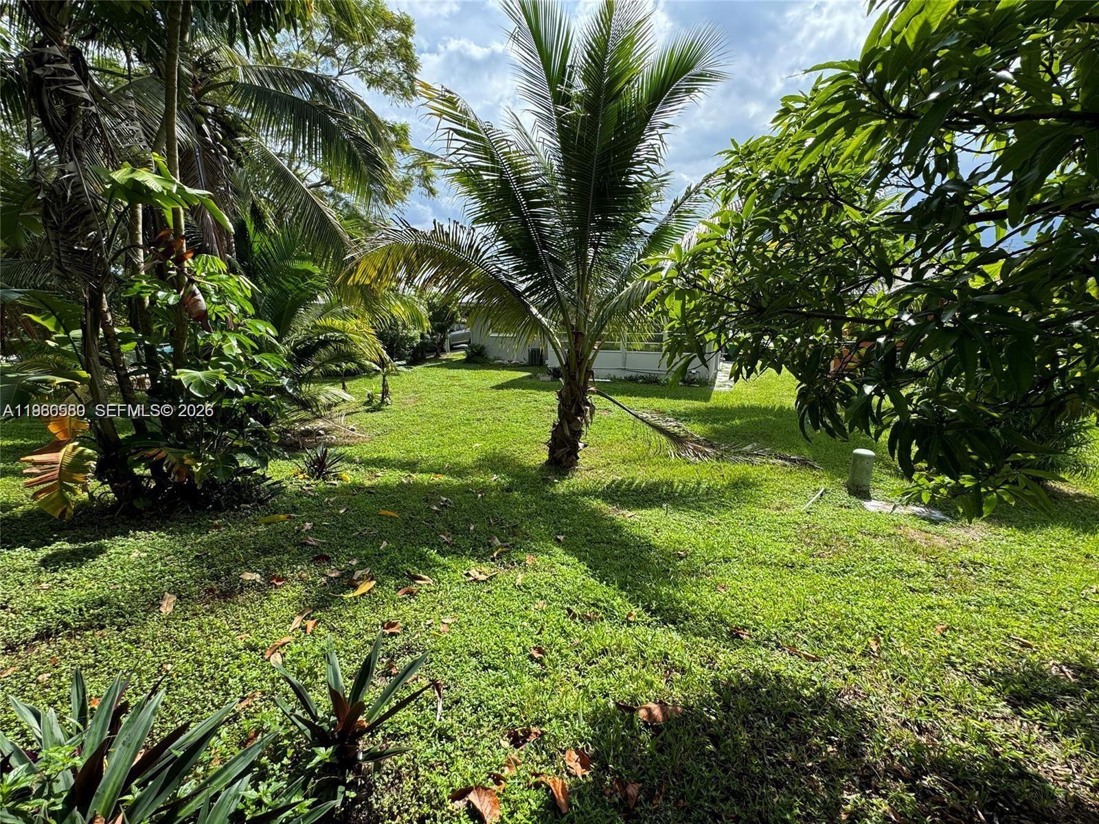 Mainlands Of Tamarac Lake