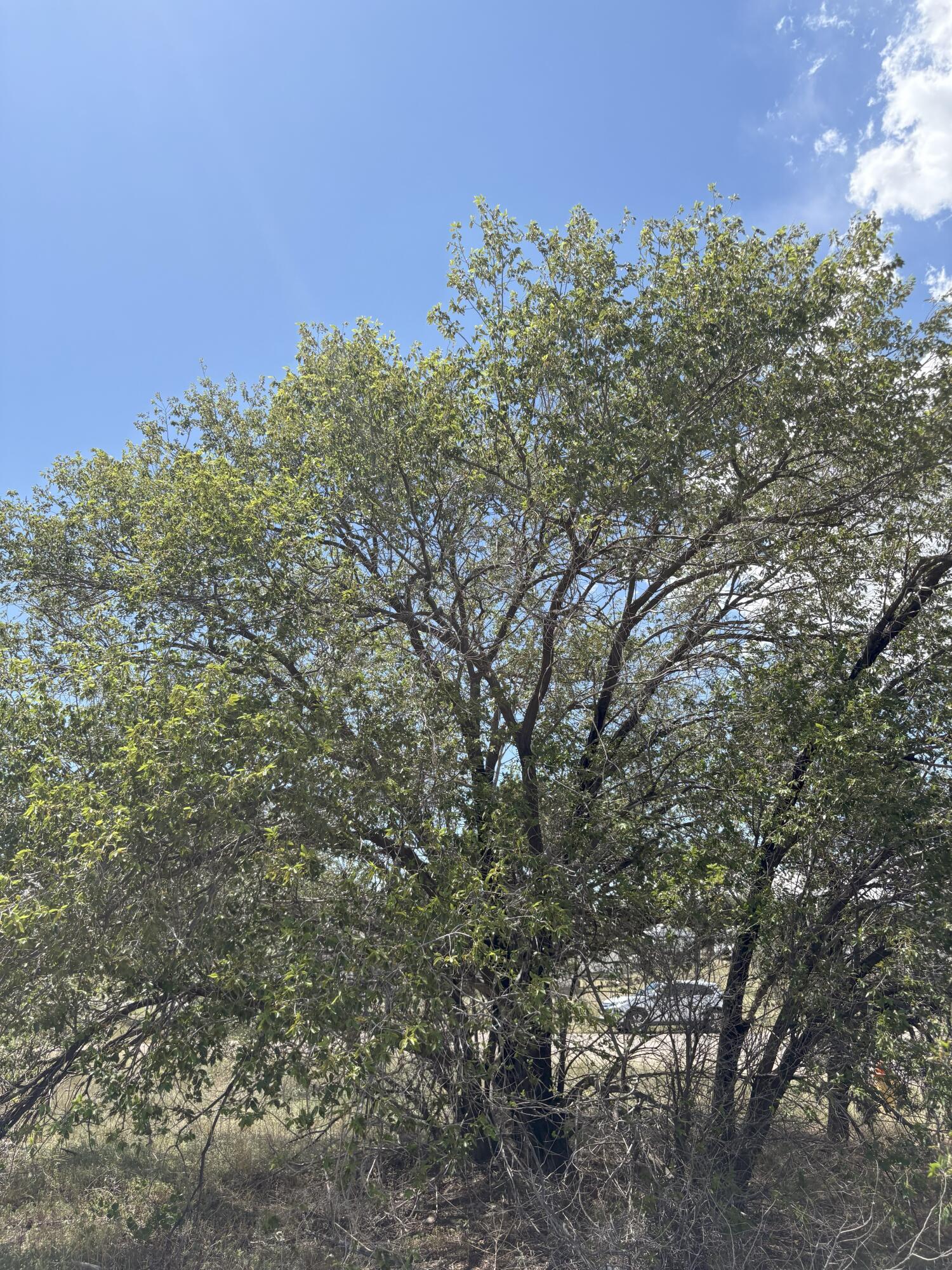 Photo 13 — 602 Corbett Avenue