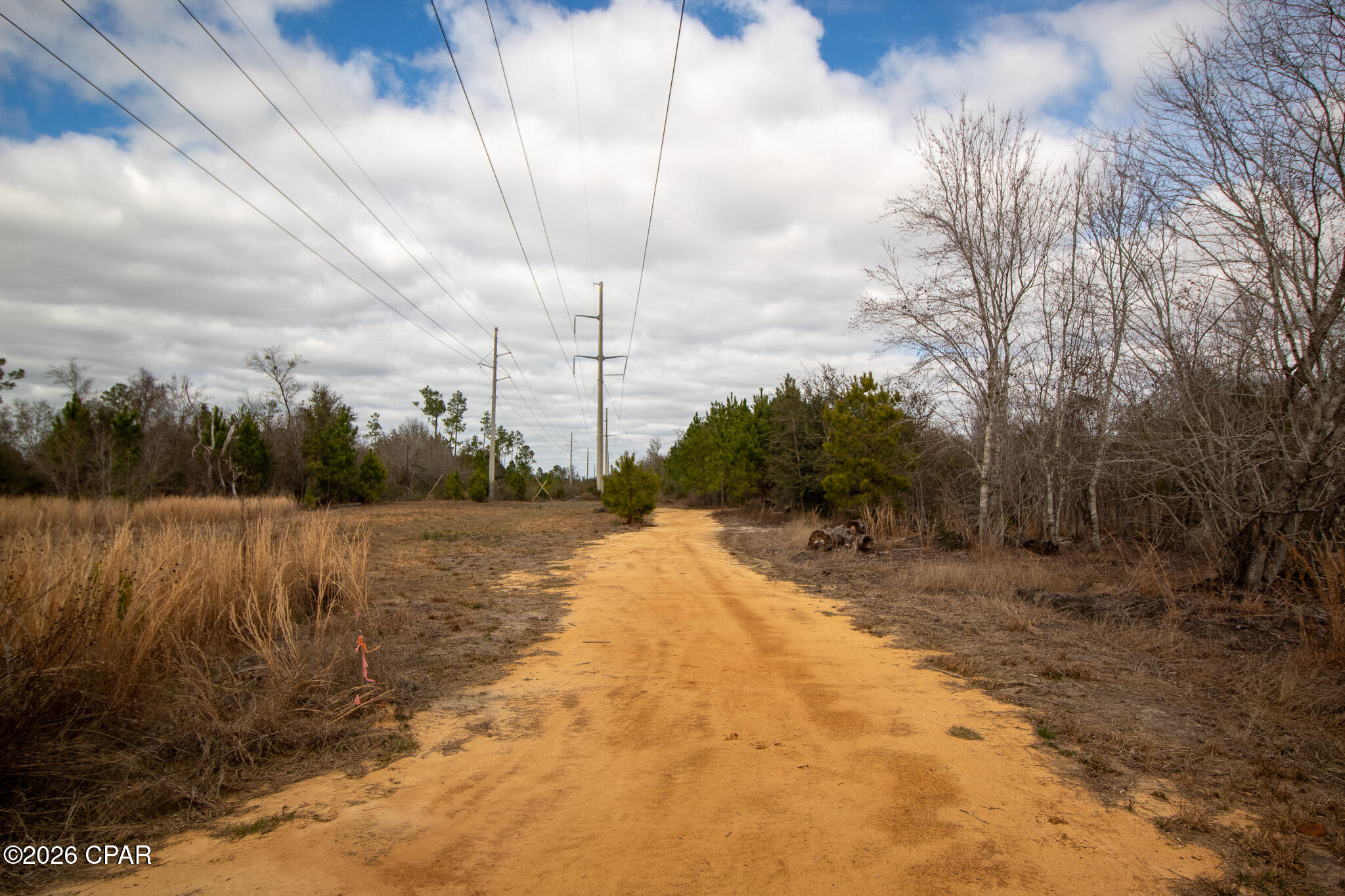 Image 10 For 8450 Kiwi Lane