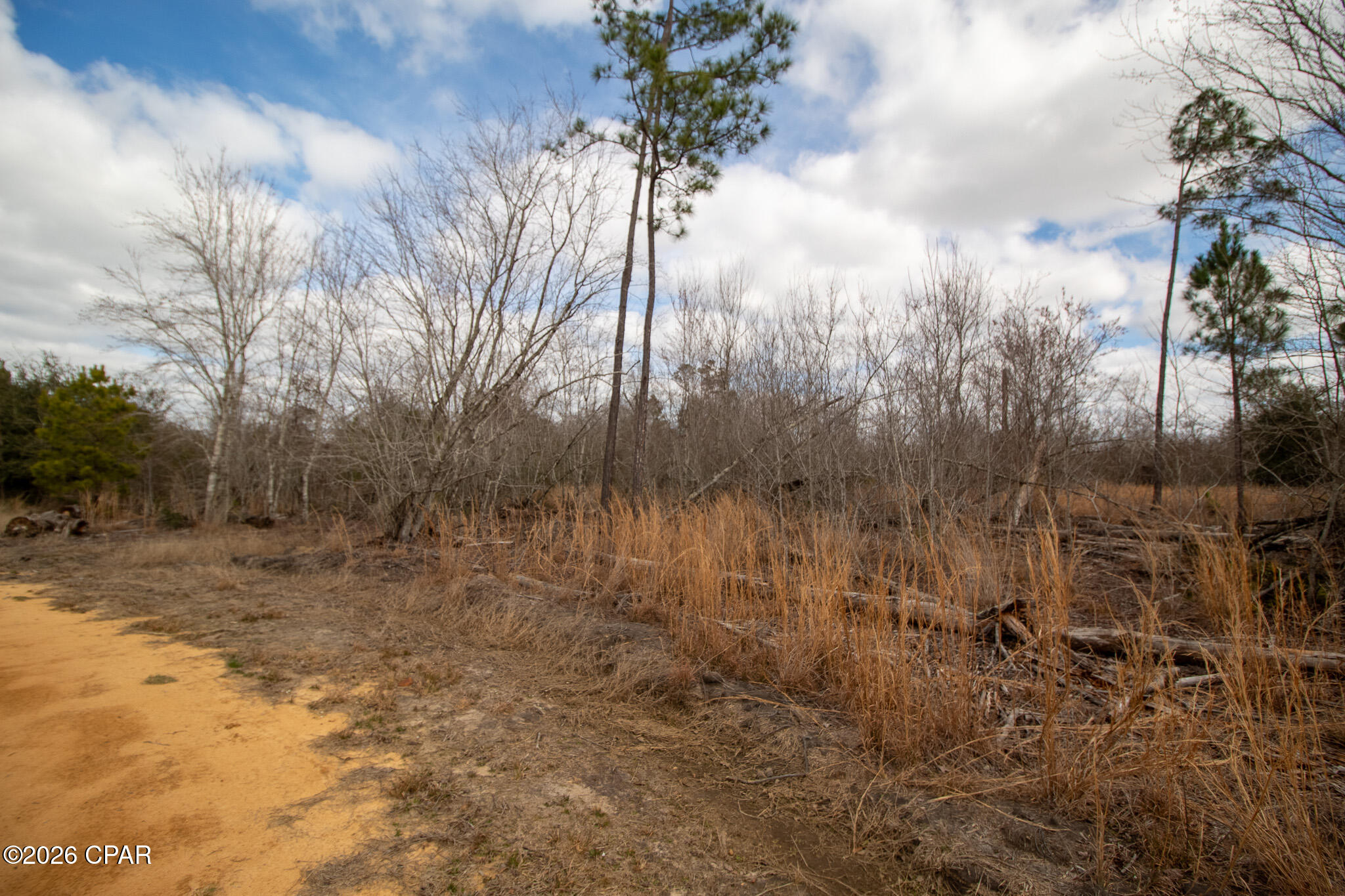 Image 11 For 8450 Kiwi Lane