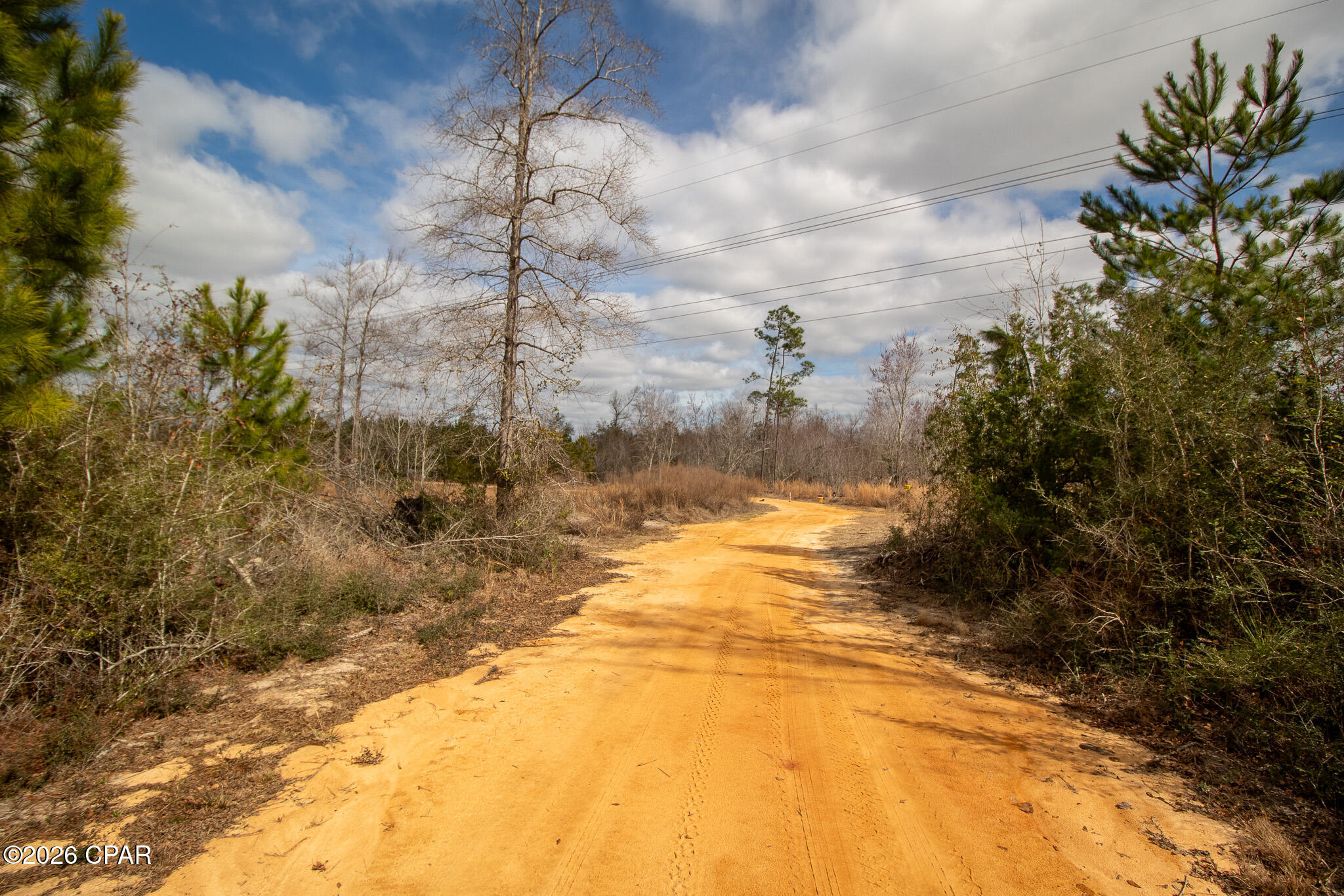 Image 12 For 8450 Kiwi Lane