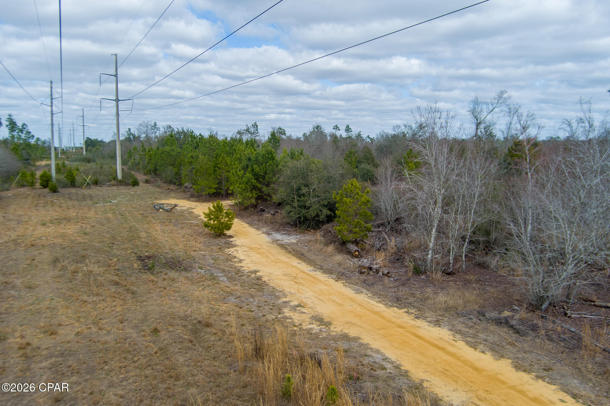 Image 15 For 8450 Kiwi Lane