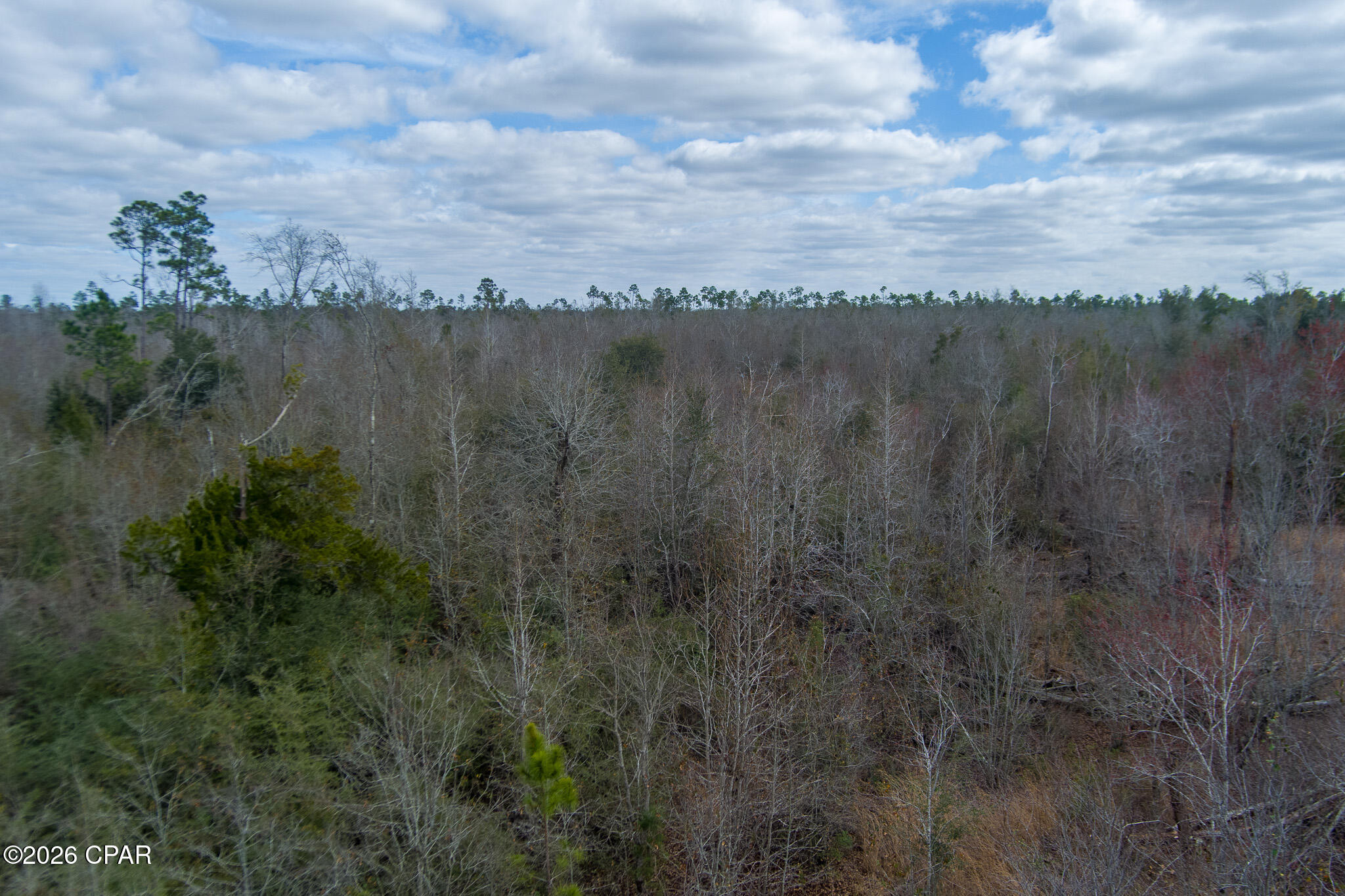 Image 16 For 8450 Kiwi Lane