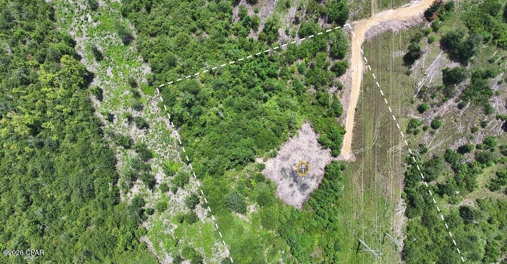 Image 34 For 8450 Kiwi Lane