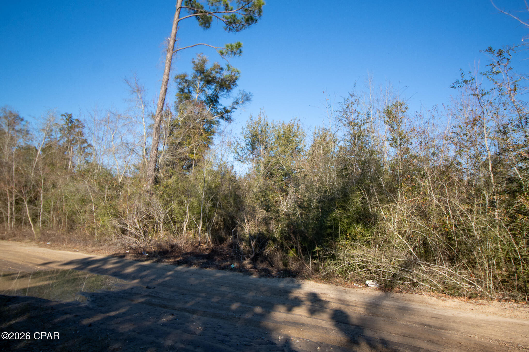 Image 5 For 8450 Kiwi Lane