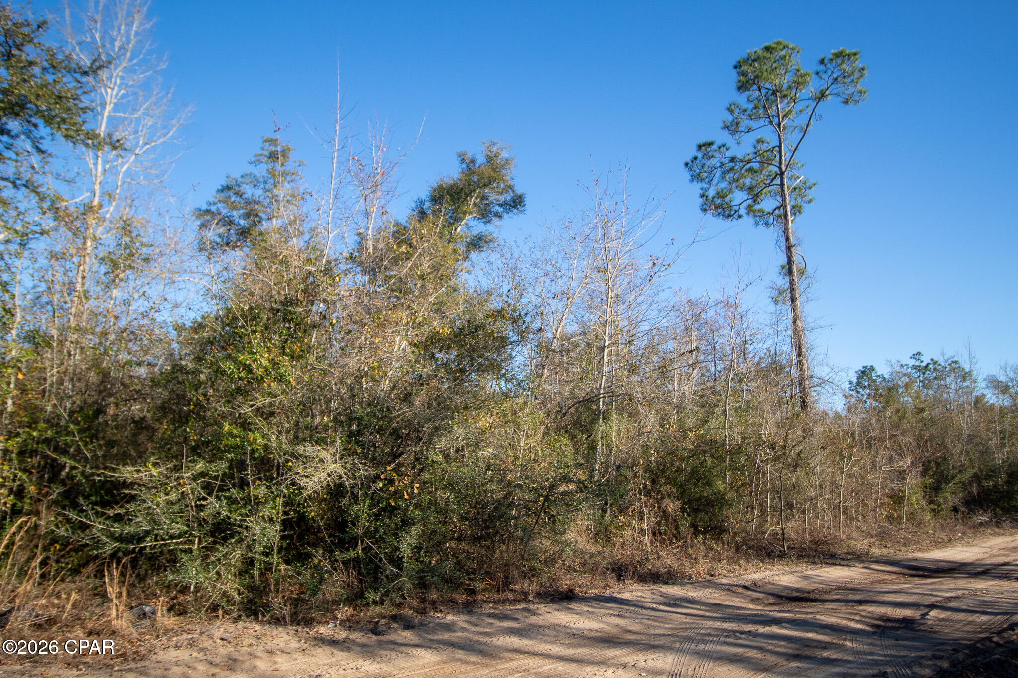 Image 6 For 8450 Kiwi Lane