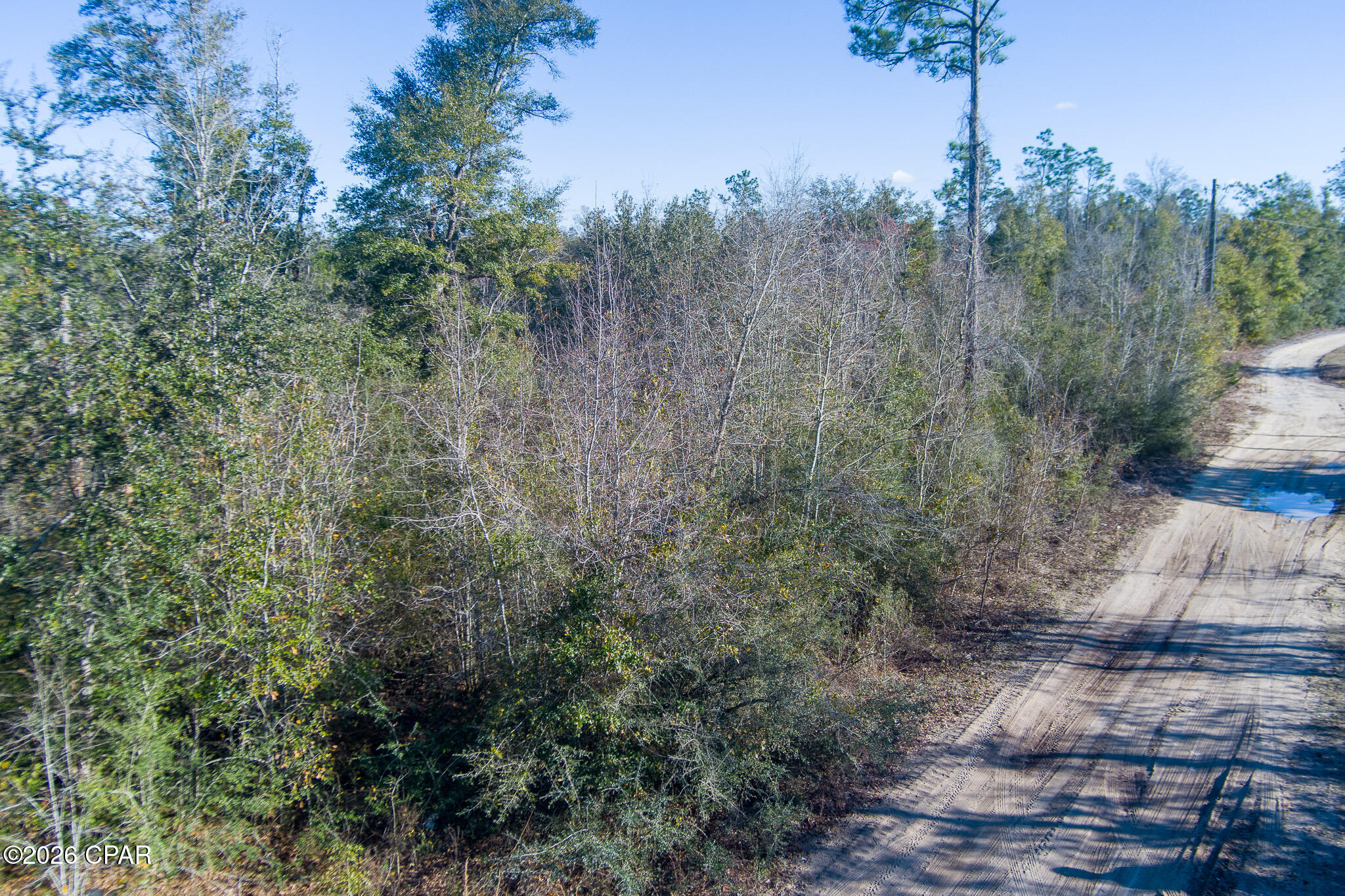 Image 8 For 8450 Kiwi Lane