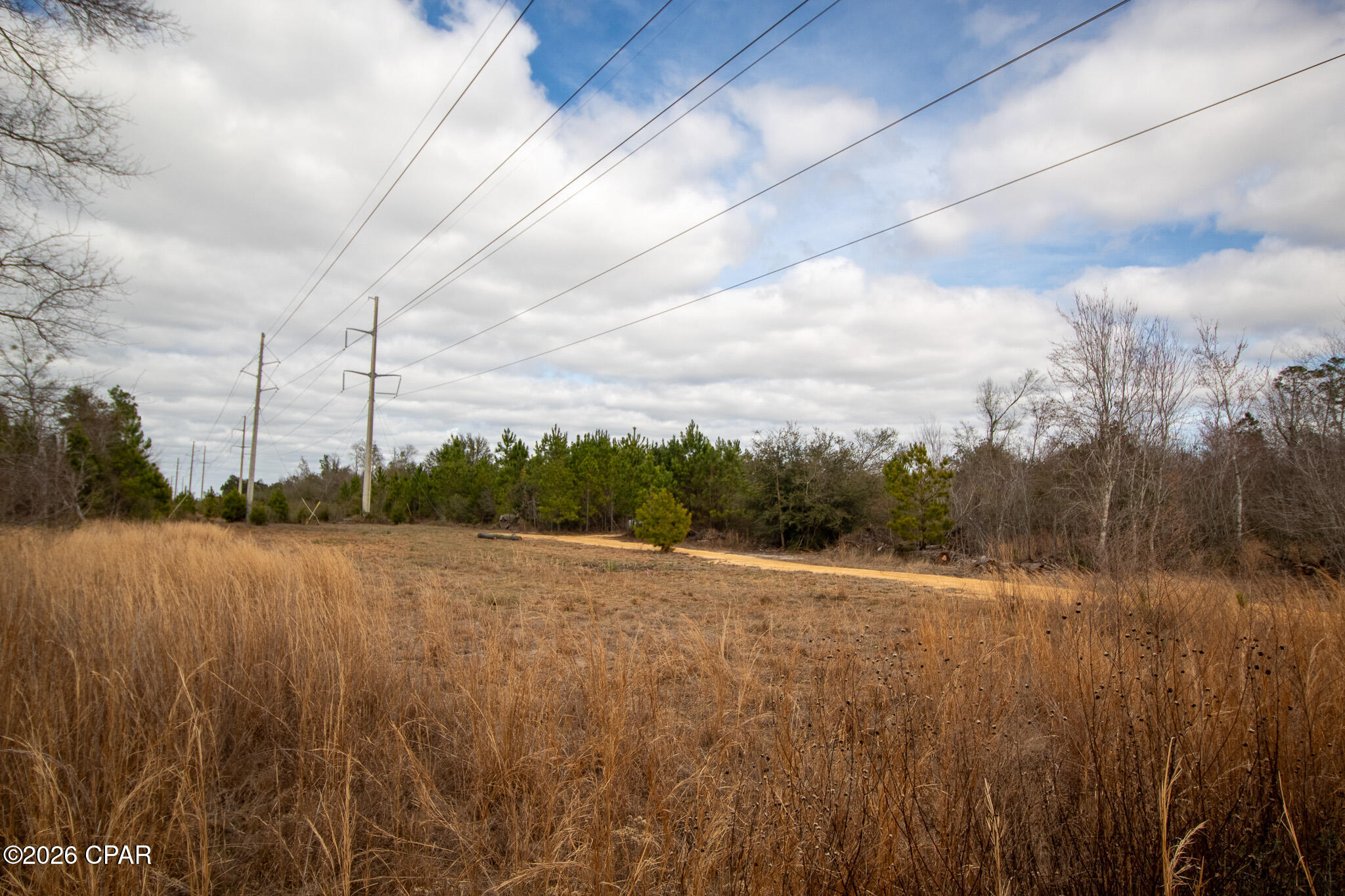 Image 9 For 8450 Kiwi Lane