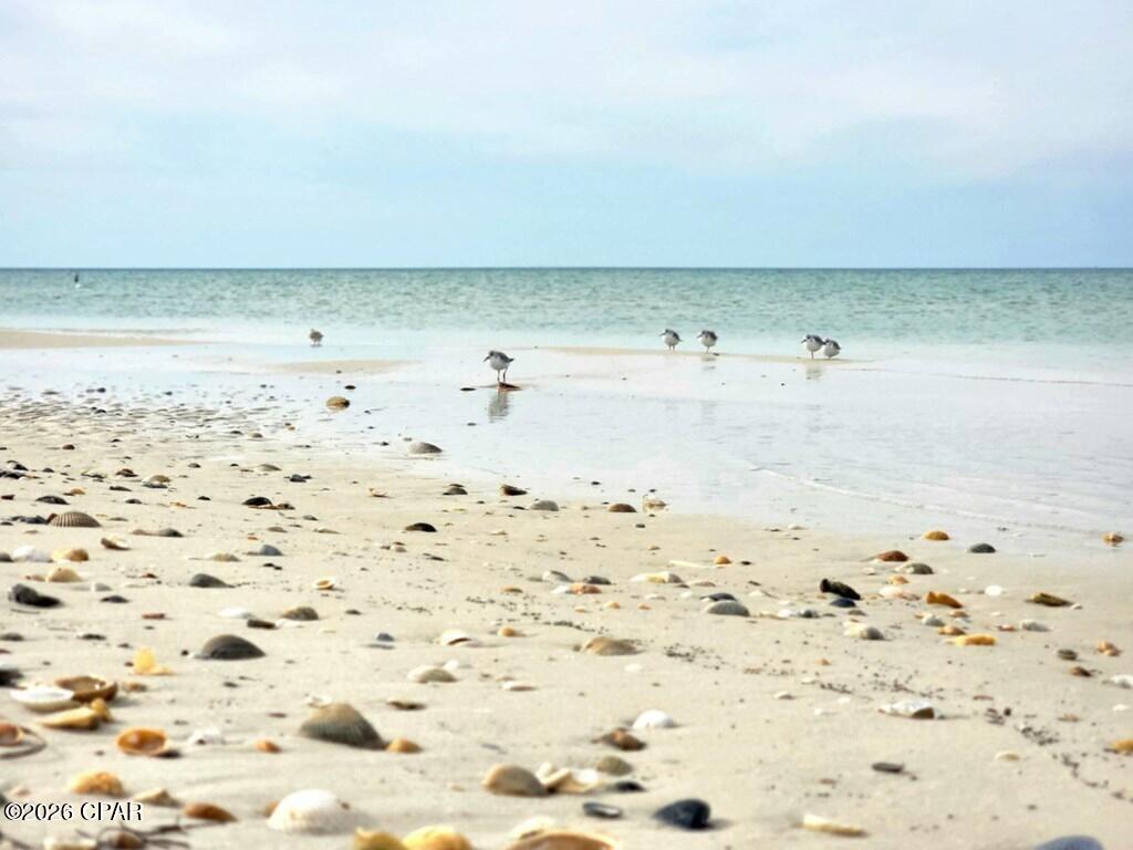 Image 9 For Lot 7 Planters Way