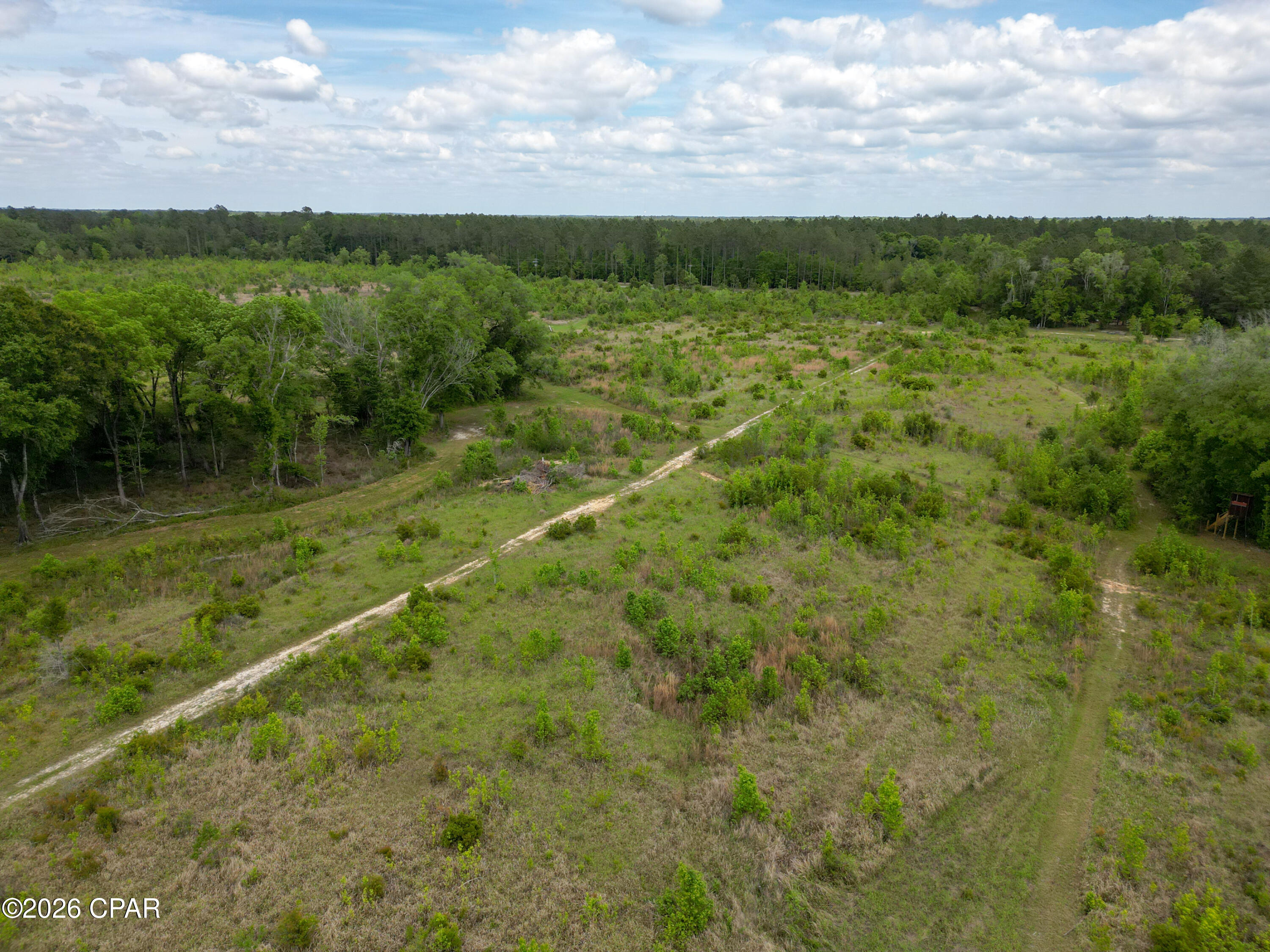 Image 74 For 2031 Crews Place