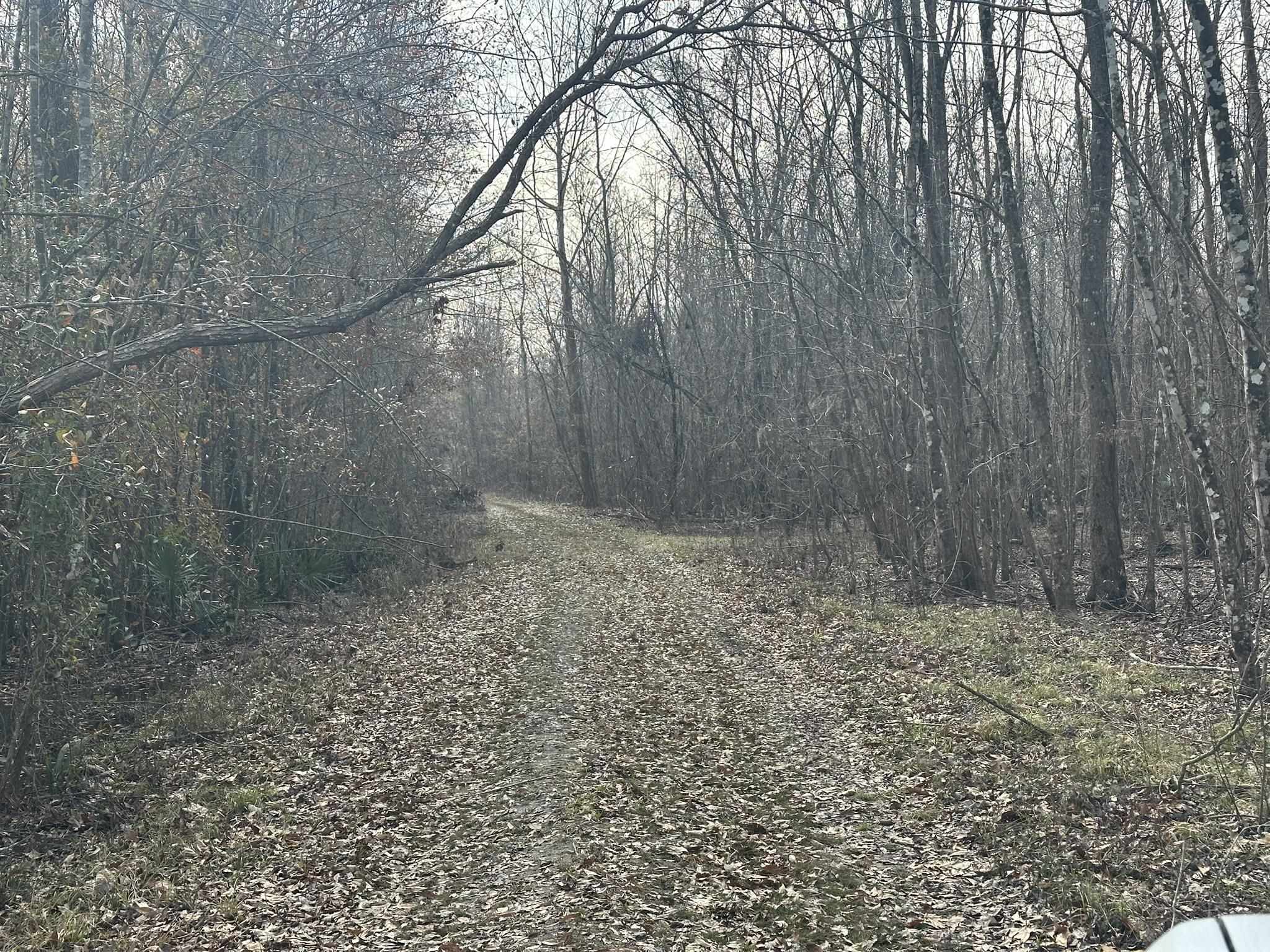 2604248 | Photo 29