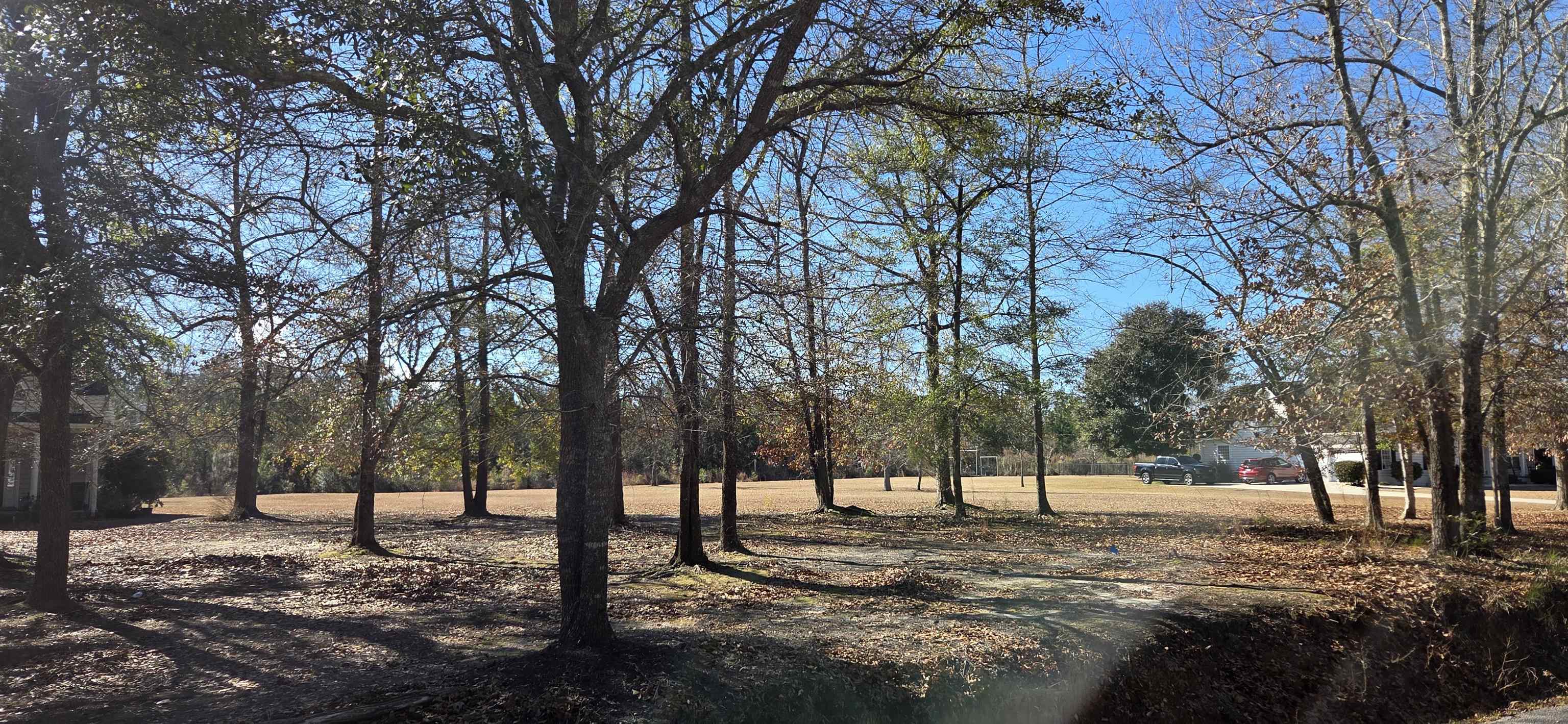 59 Fiddlers Loop, Georgetown, SC 29440