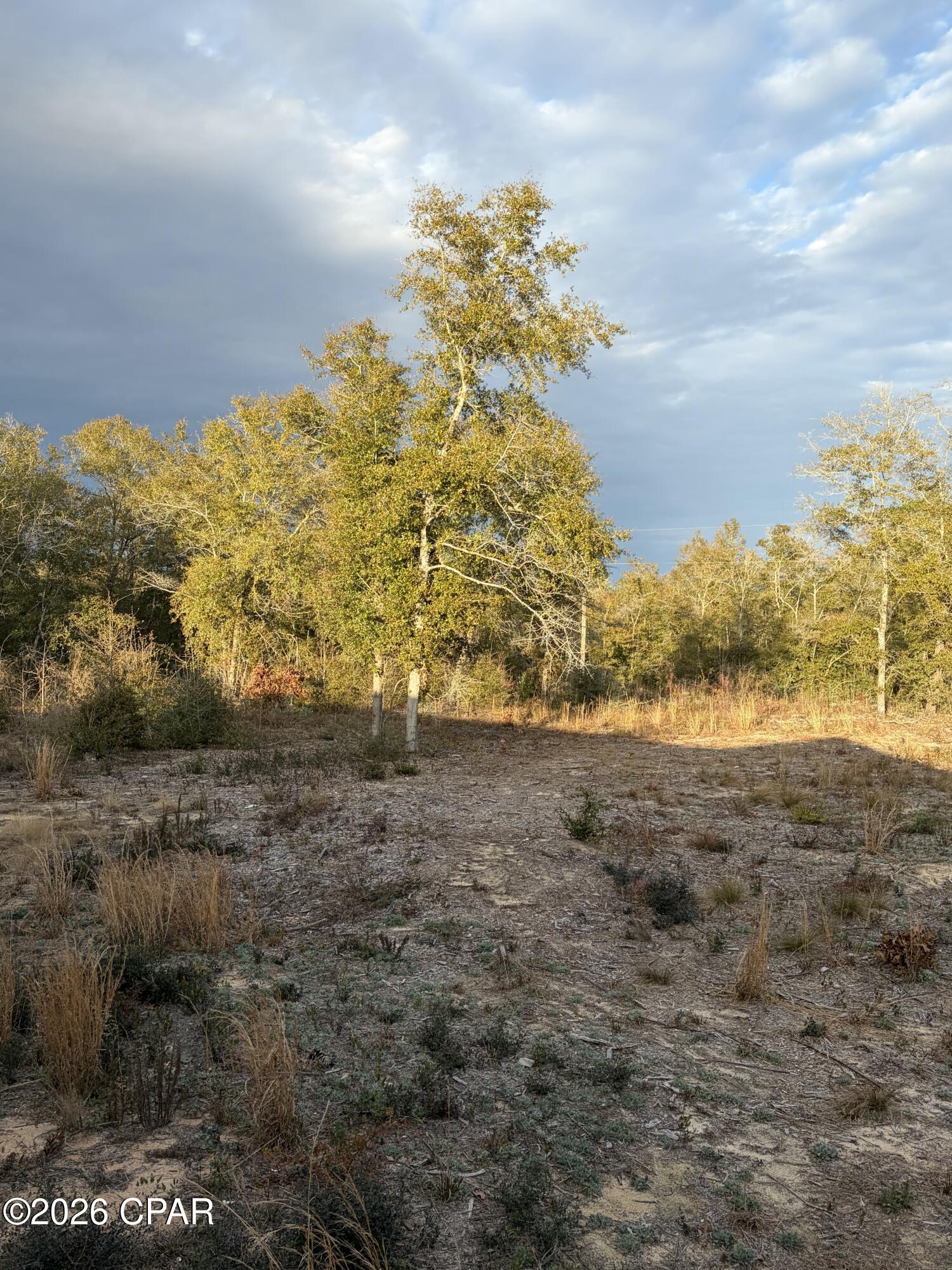 Image 15 For 3360 Peppervine Place