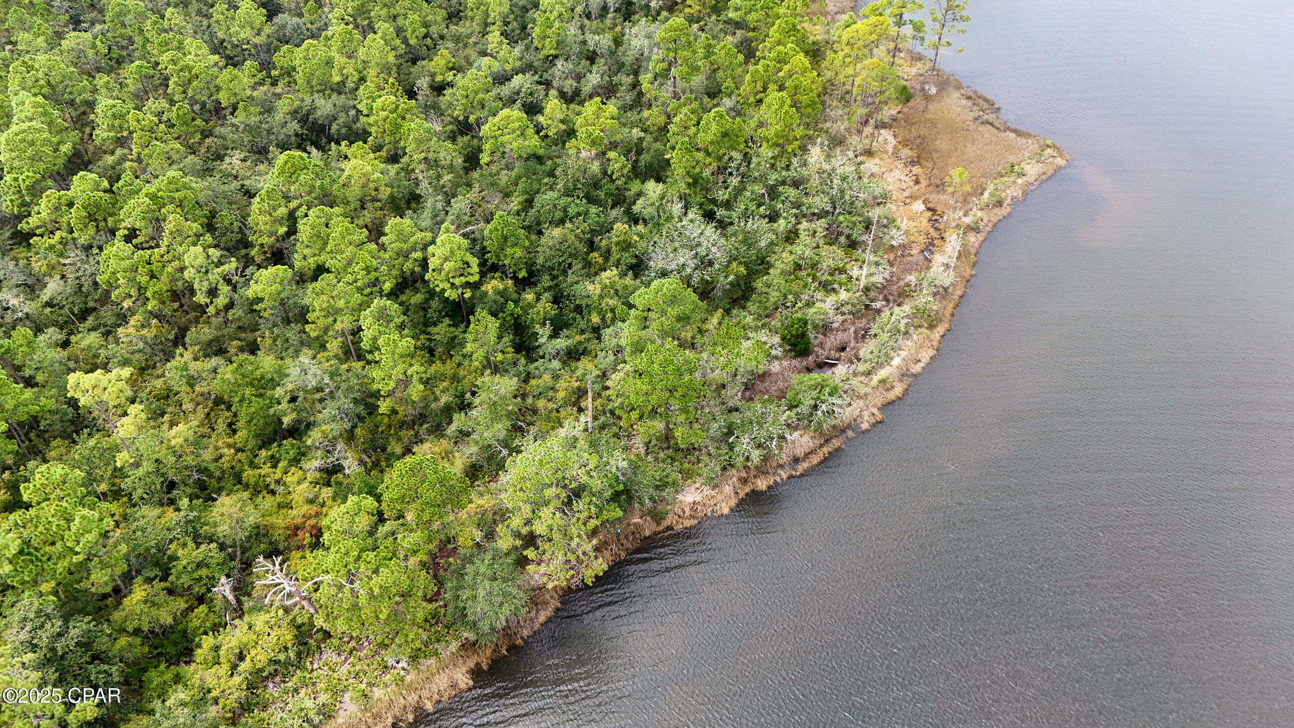 Image 11 For 31 2s - 14w -5-