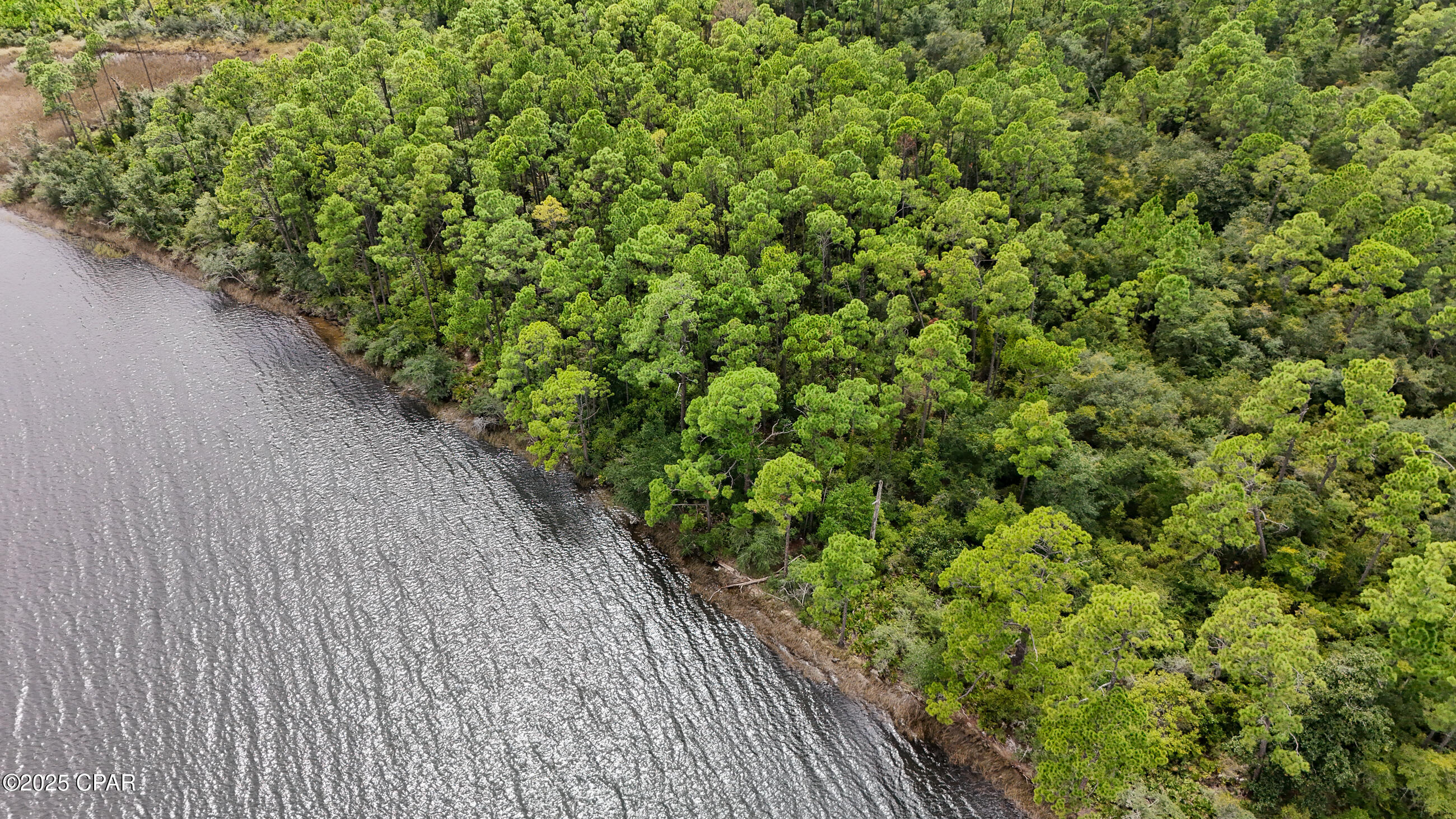 Image 12 For 31 2s - 14w -5-