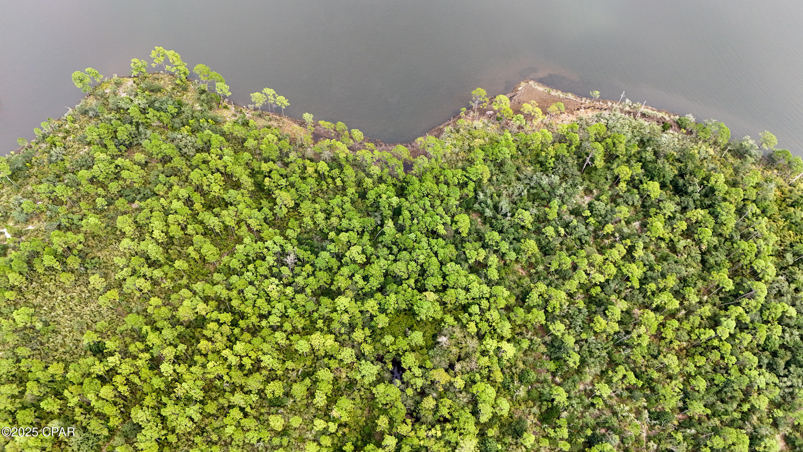 Image 19 For 31 2s - 14w -5-