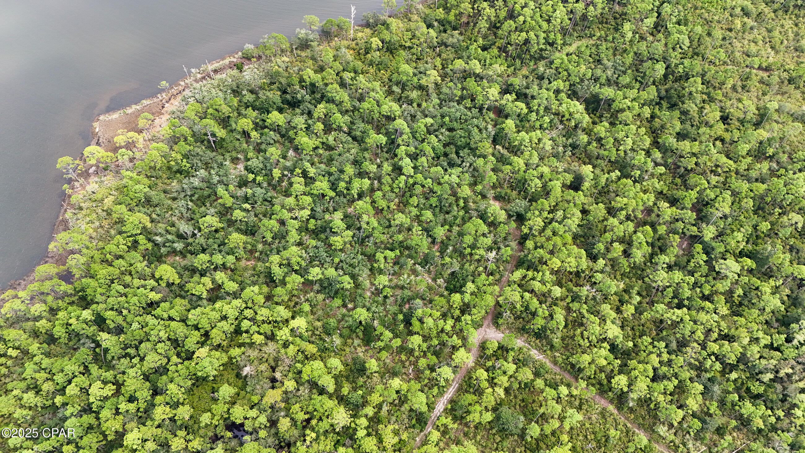 Image 20 For 31 2s - 14w -5-