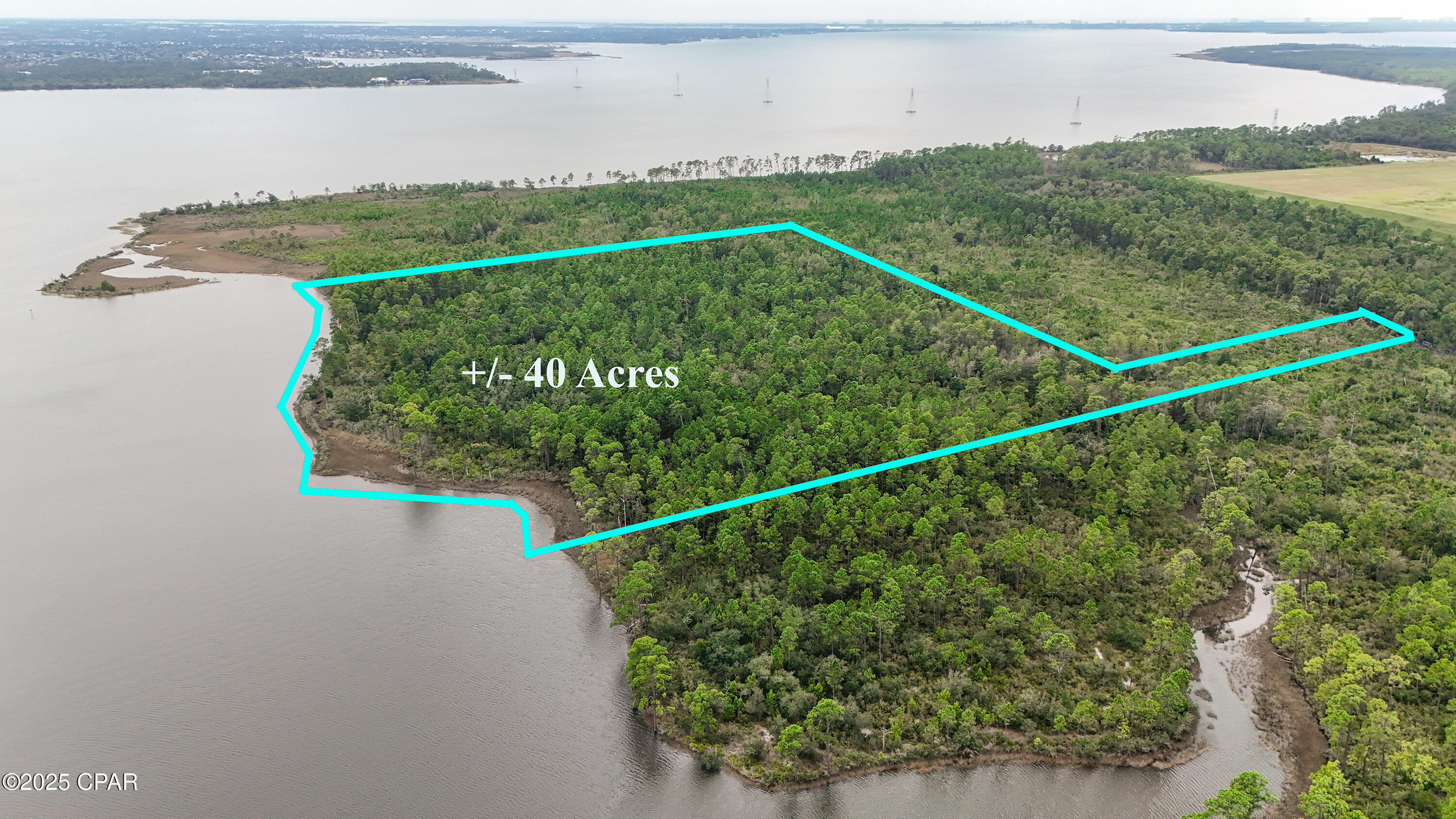 Image 4 For 31 2s - 14w -5-