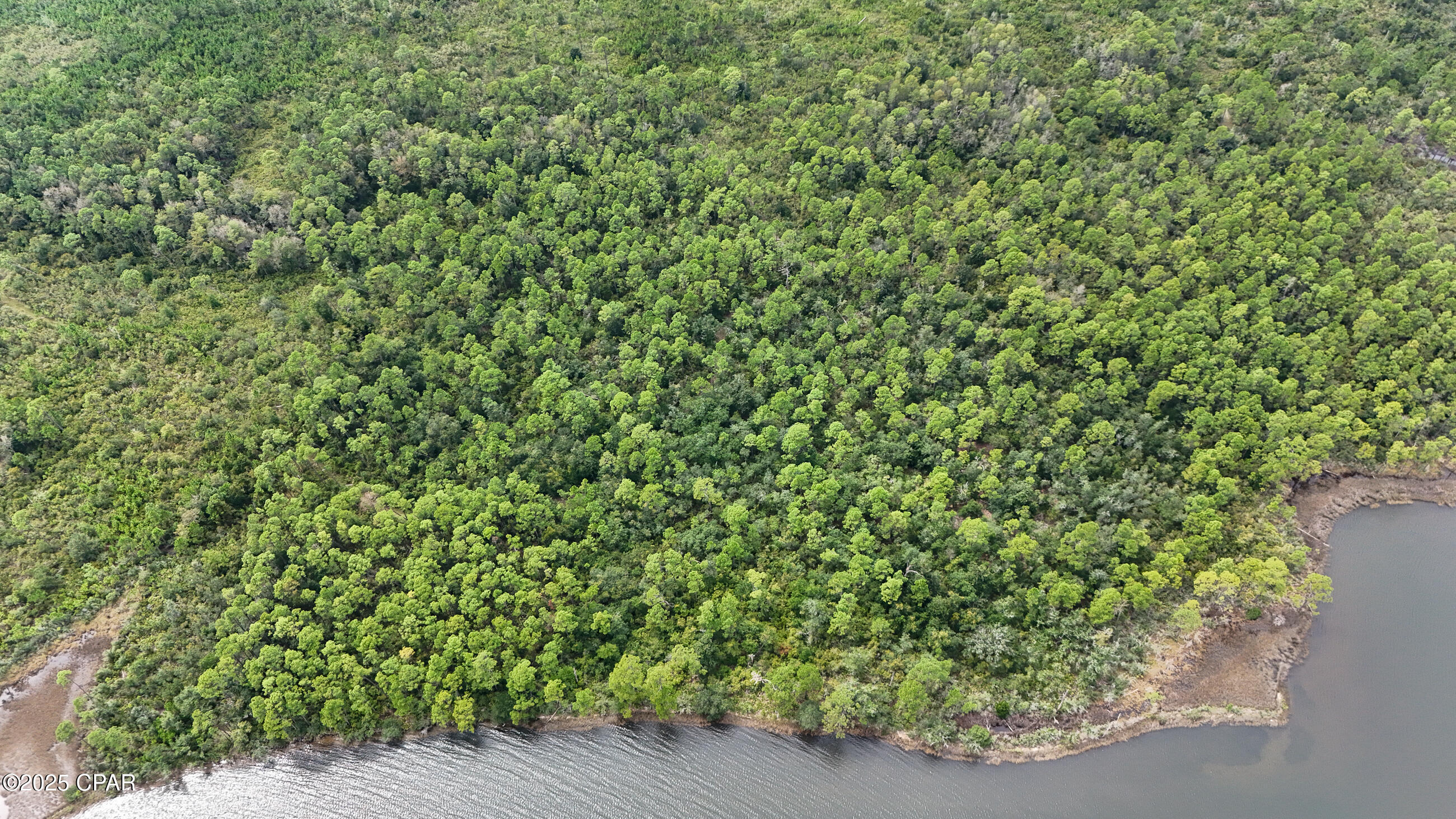 Image 8 For 31 2s - 14w -5-