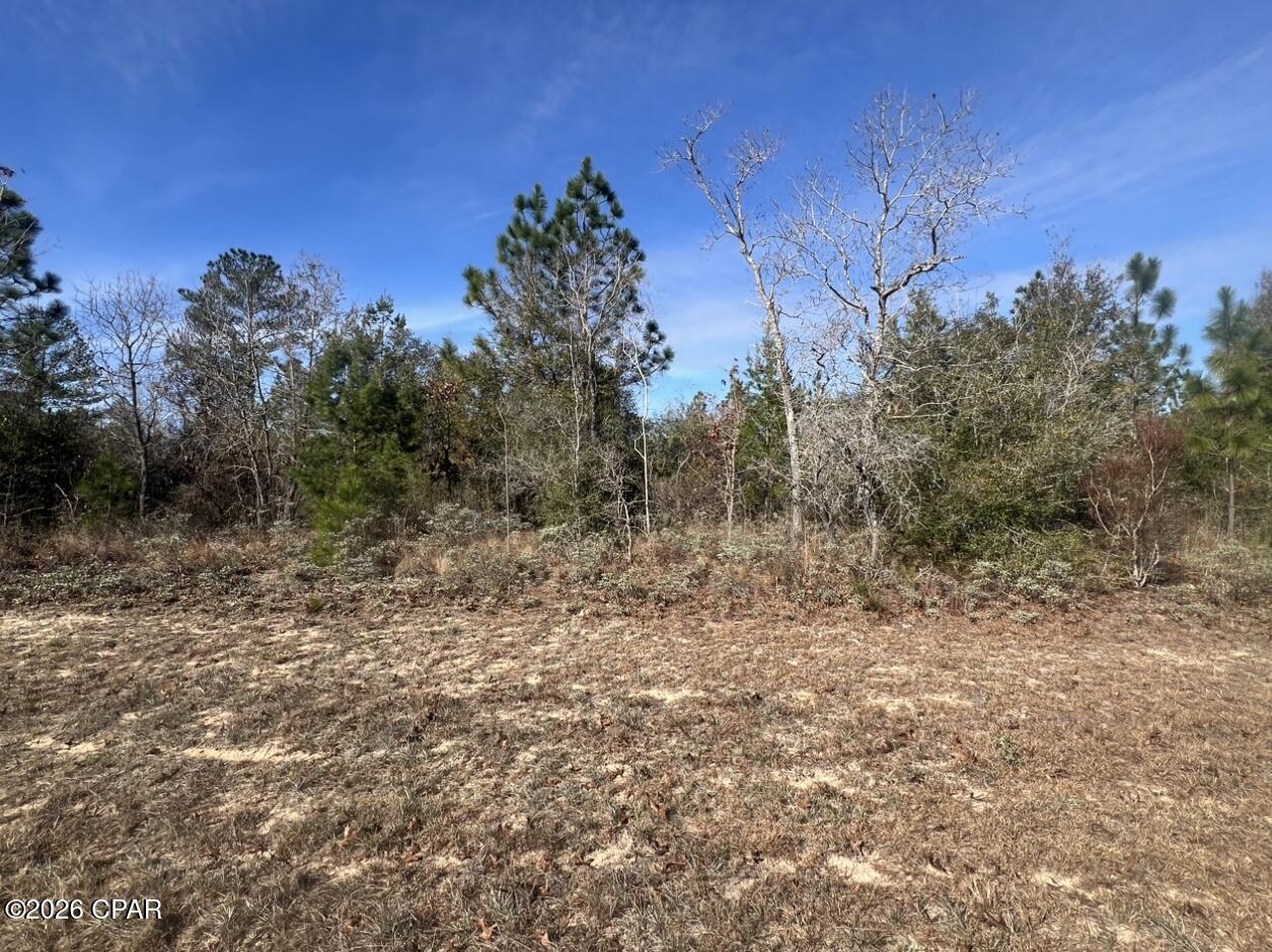 Listing Details for 0 Dandelion Drive, Chipley, FL 32428