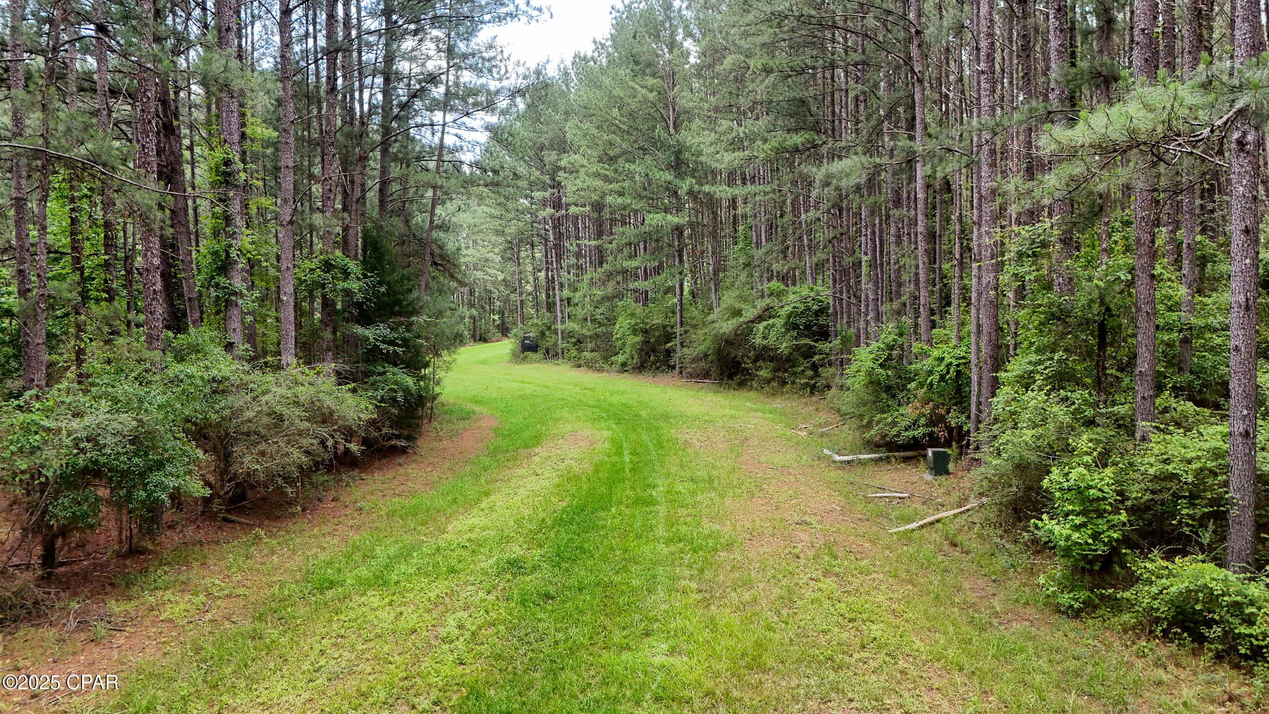 Details for 0 Southern Oak Way, Westville, FL 32464