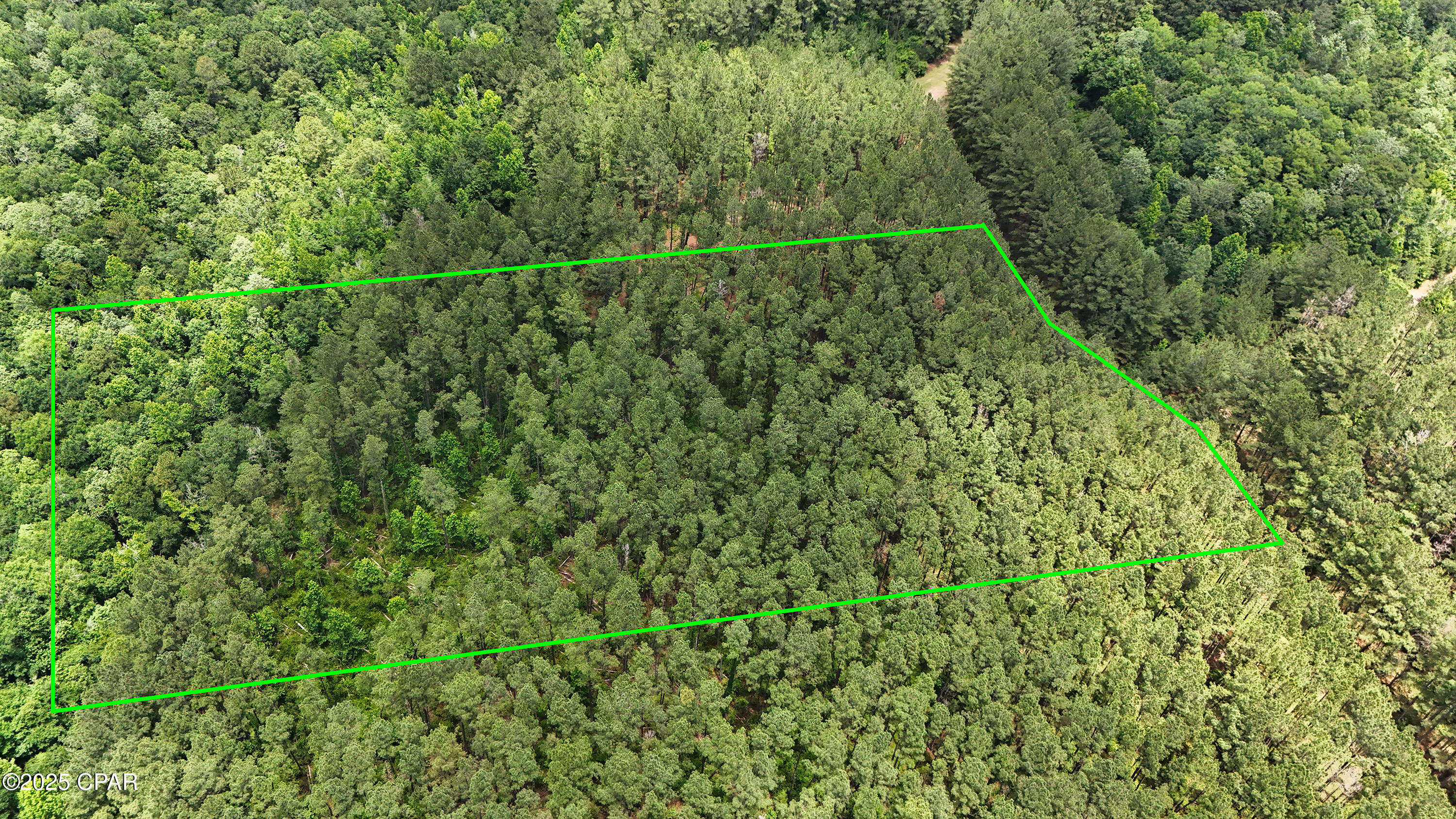 Image 4 For 0 Southern Oak Way