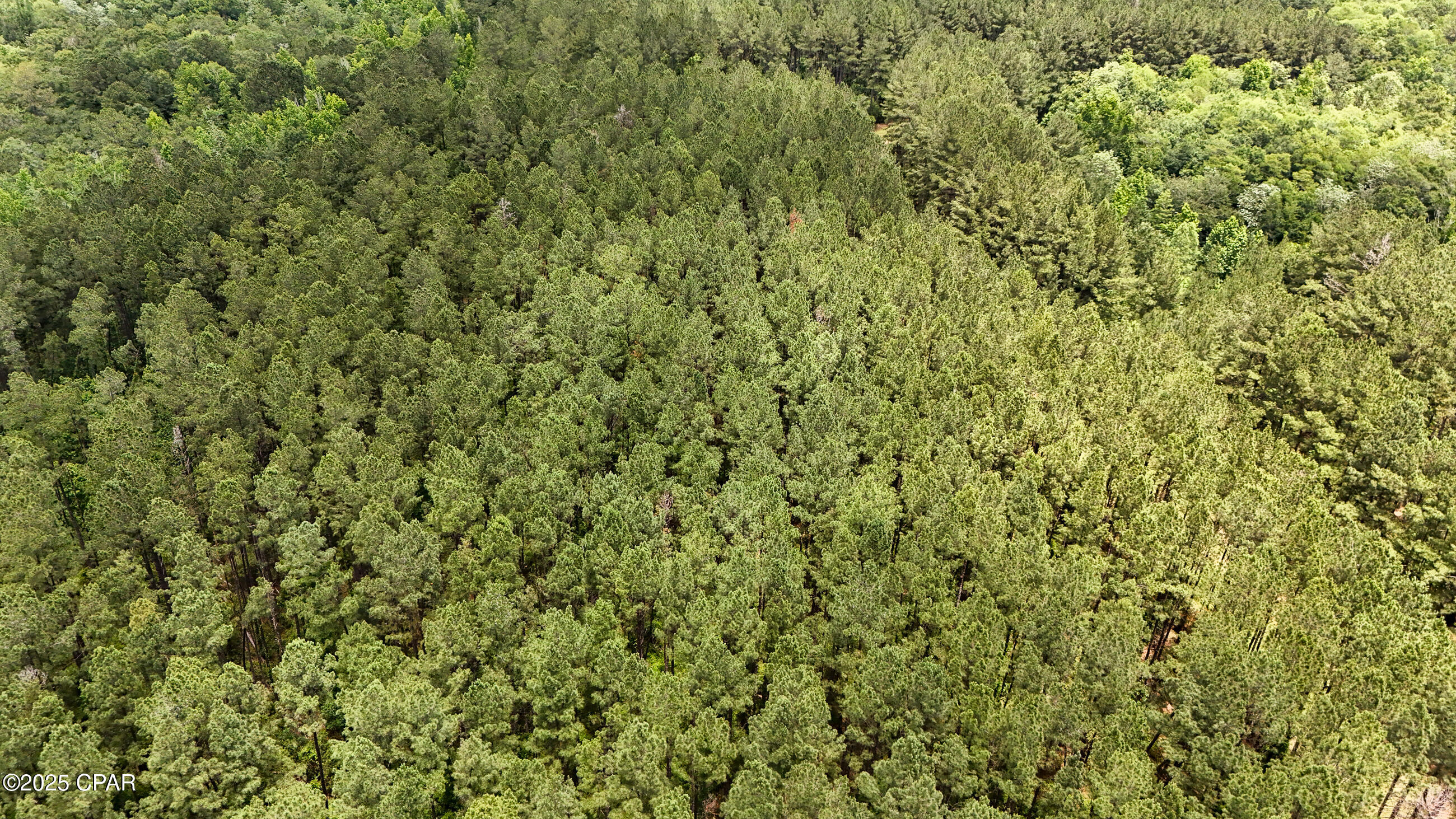 Image 7 For 0 Southern Oak Way