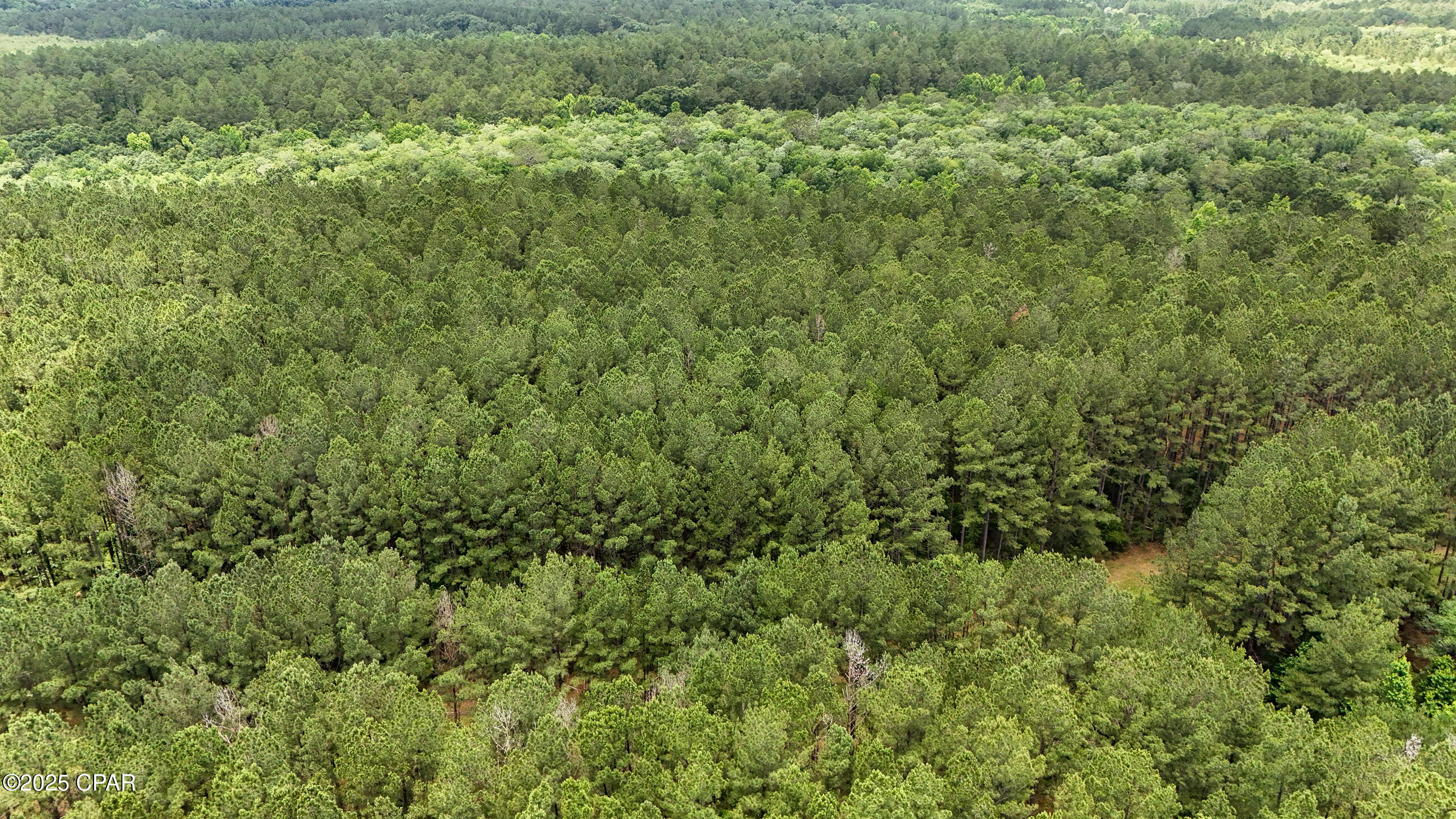 Image 9 For 0 Southern Oak Way