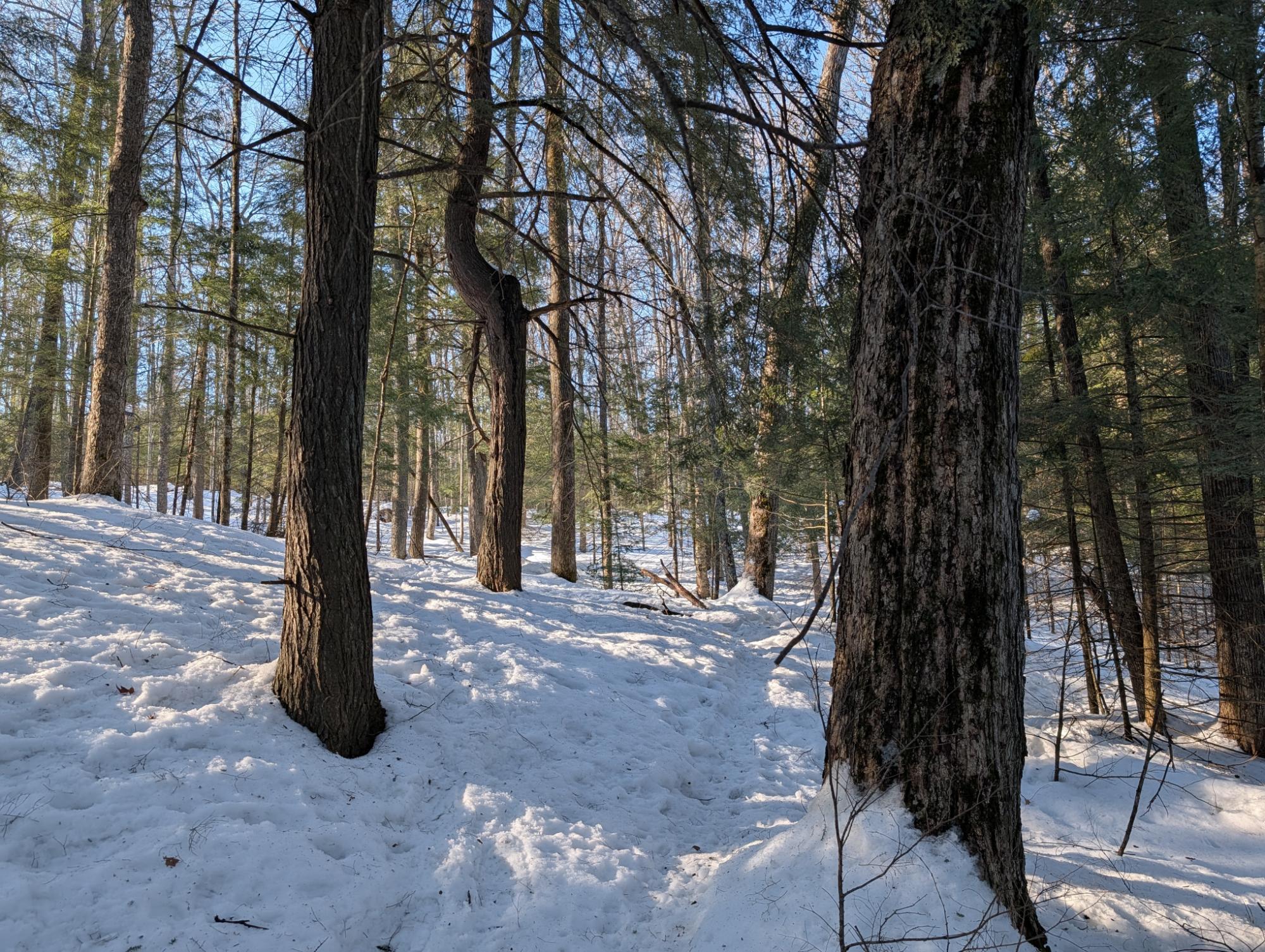 East Horsehead Lake Property LOT ON Jimmy Ln Photo 12