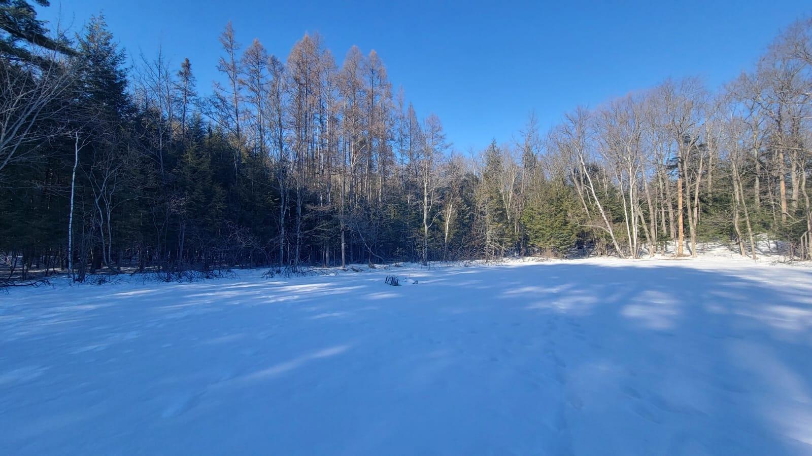 East Horsehead Lake Property LOT ON Jimmy Ln Photo 3