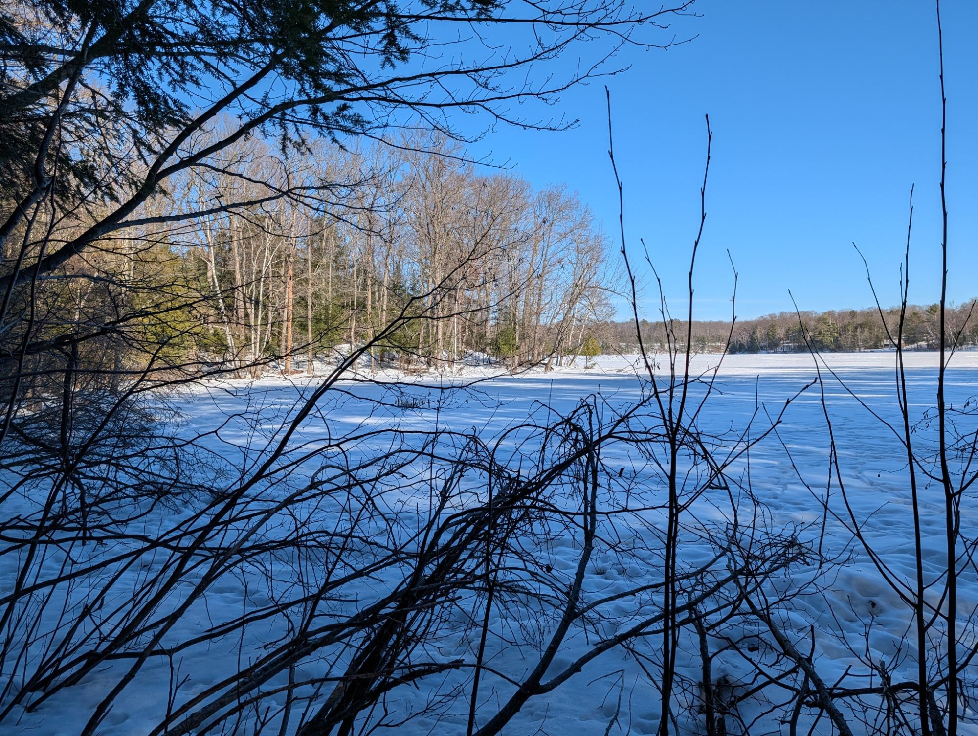 East Horsehead Lake Property LOT ON Jimmy Ln Photo 5