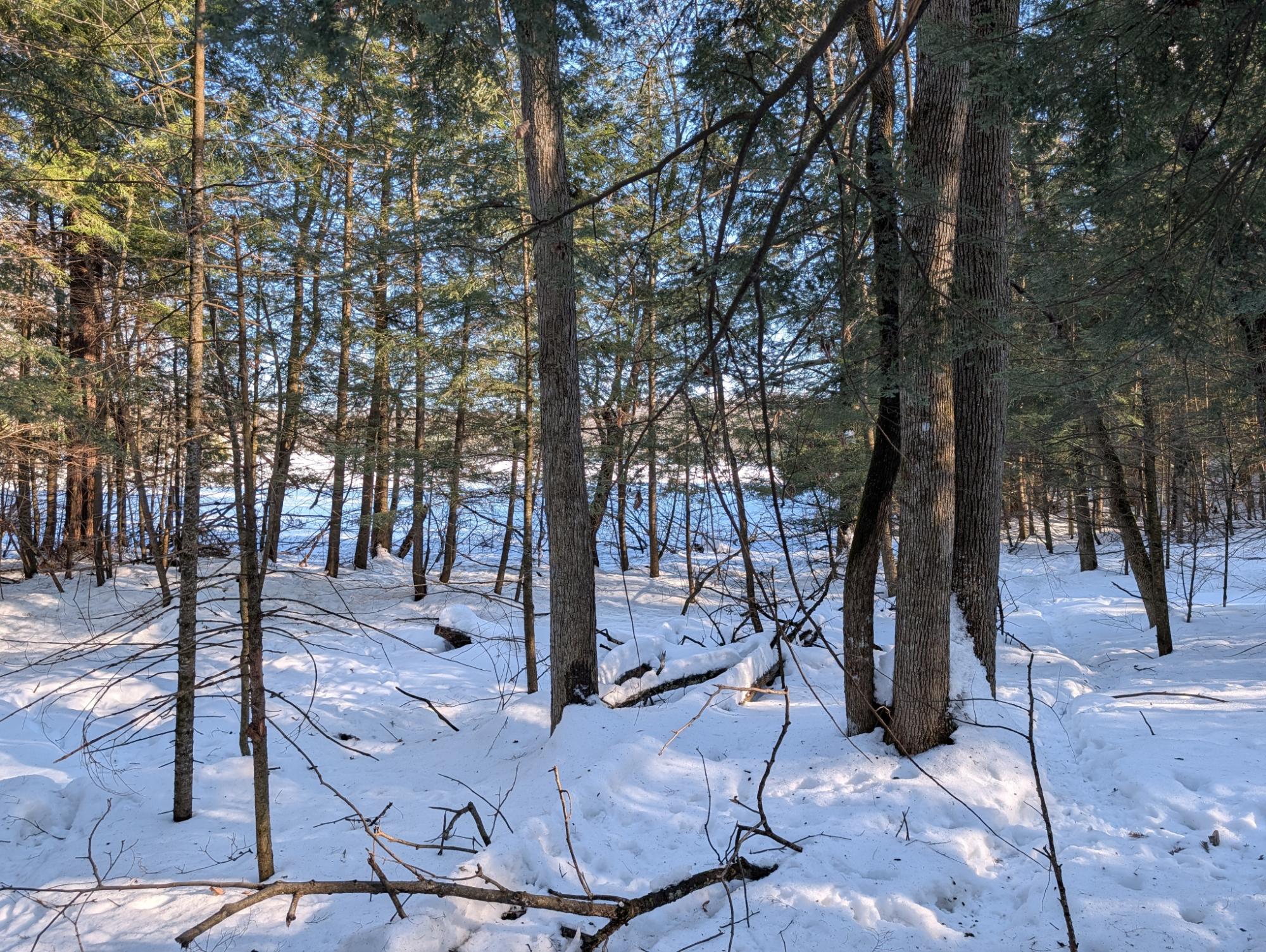 East Horsehead Lake Property LOT ON Jimmy Ln Photo 7