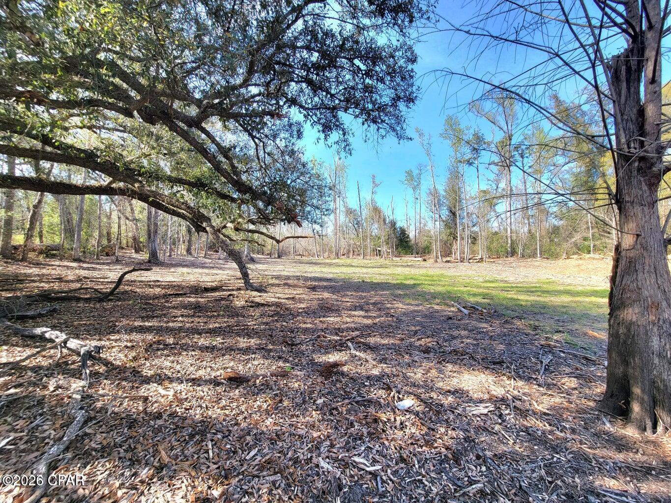 Details for Tbd Hwy 90  , Sneads, FL 32460