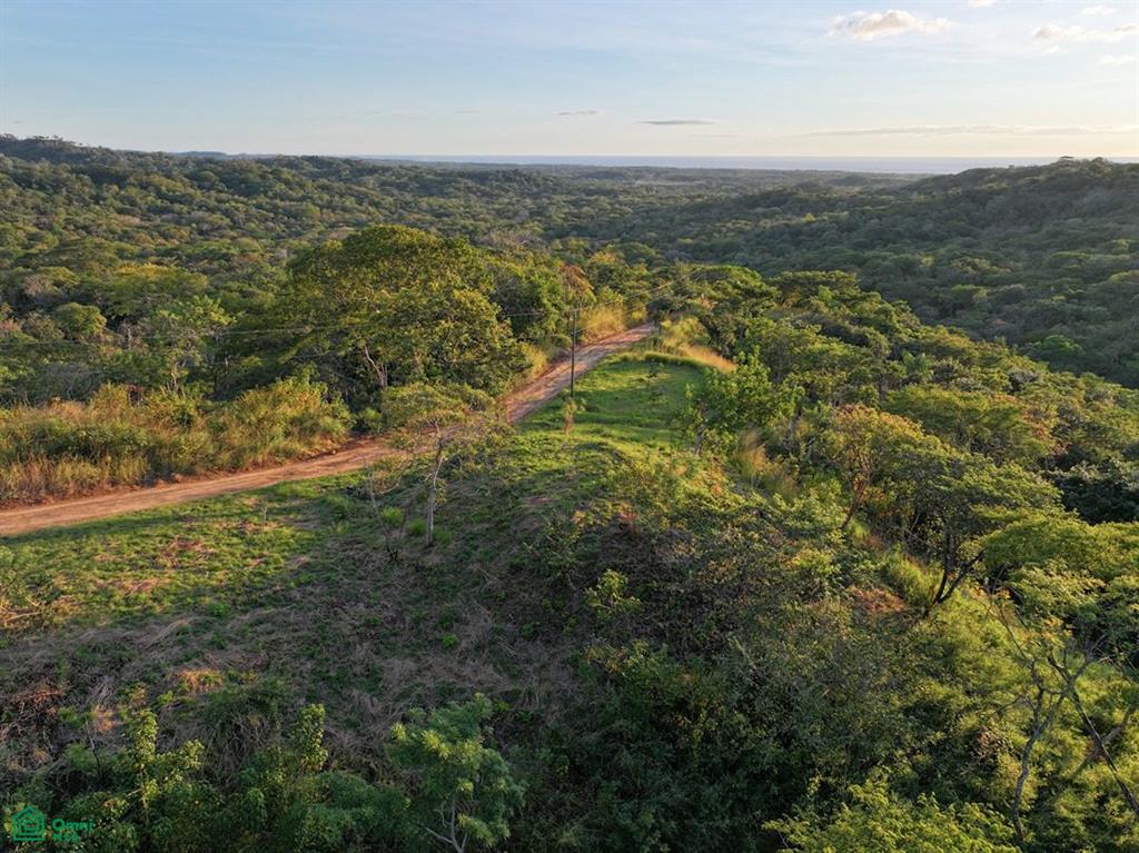  bed Land For Sale in Santa Cruz, Guanacaste - 1