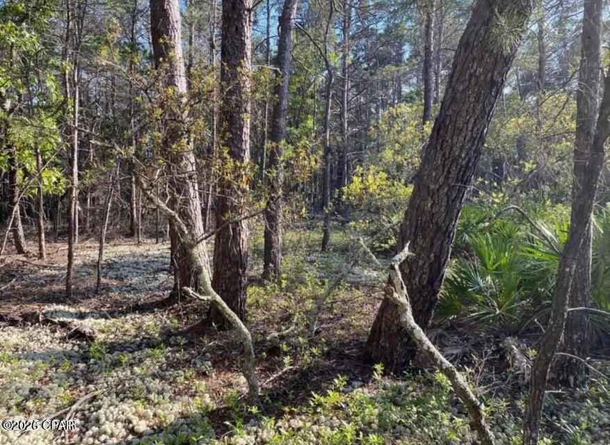 Image 11 For 0 No Street Address