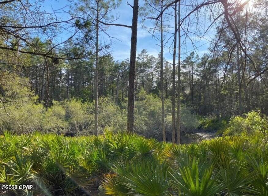 Image 7 For 0 No Street Address