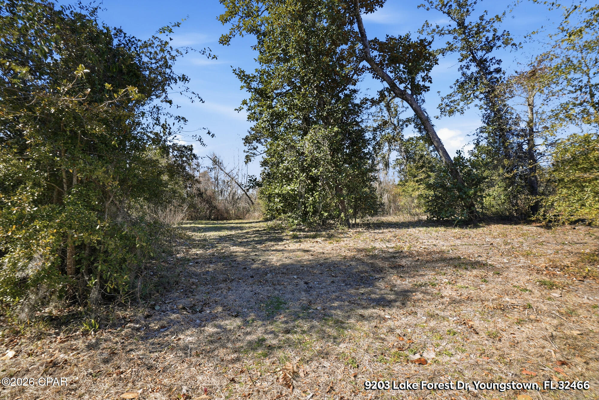 Image 13 For 9203 Lake Forest Drive