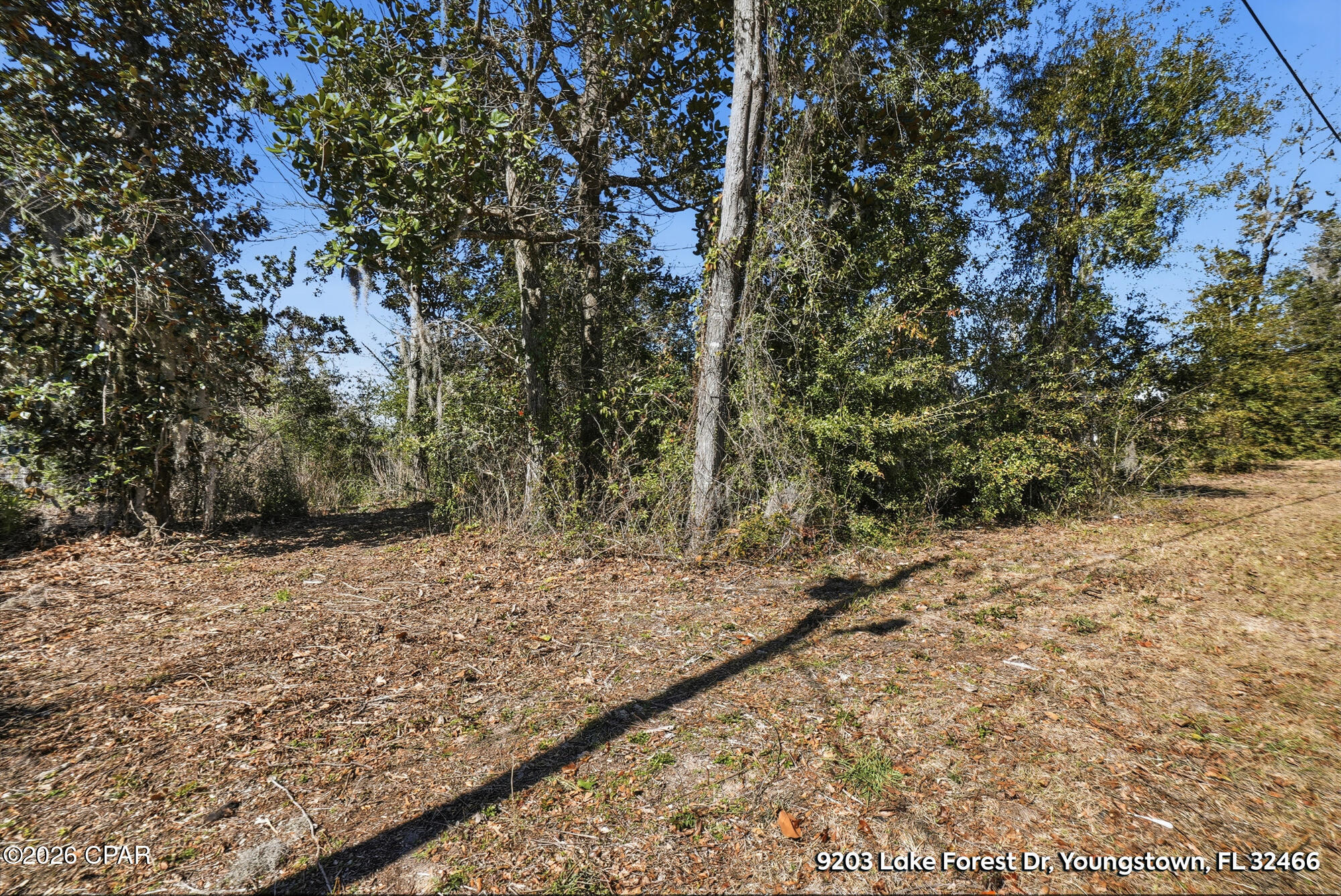 Image 14 For 9203 Lake Forest Drive