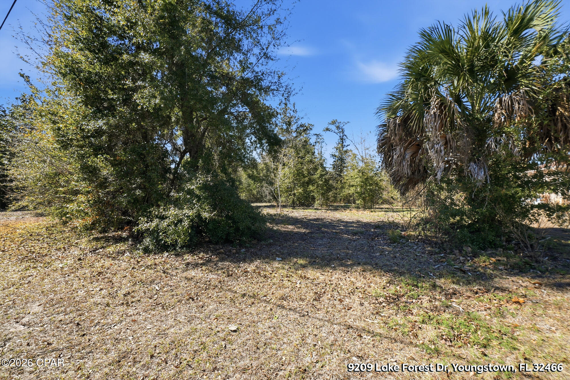 Image 13 For 9209 Lake Forest Drive