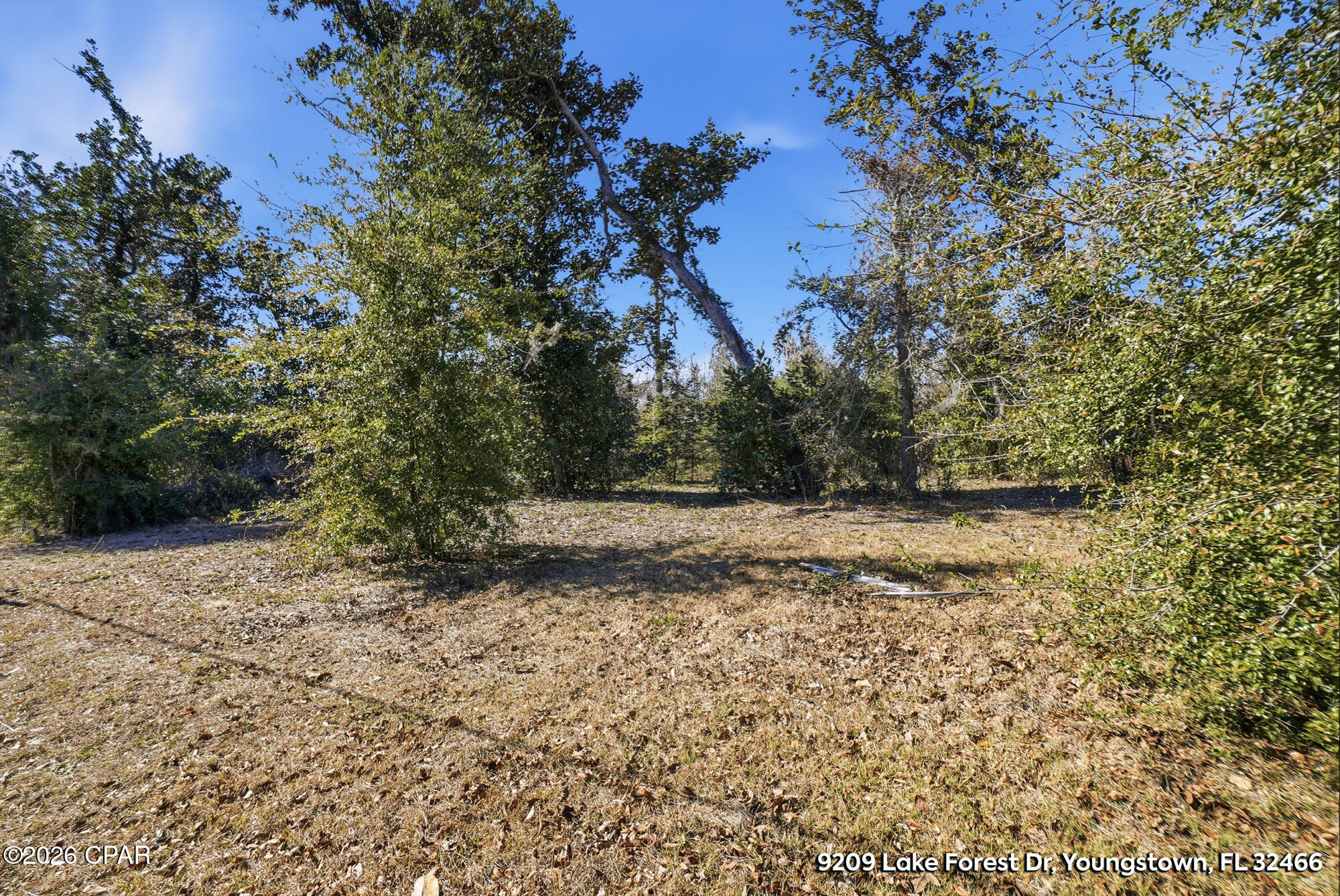 Image 14 For 9209 Lake Forest Drive