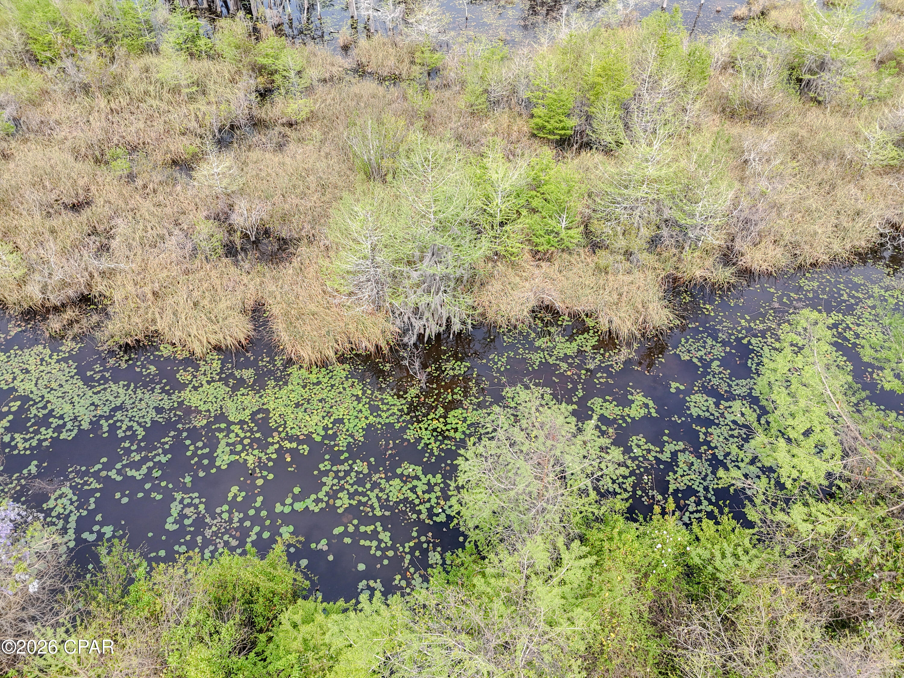 Image 5 For 9209 Lake Forest Drive