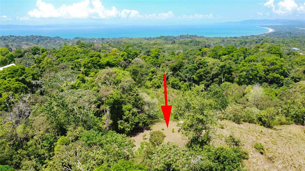  bed Land For Sale in Golfito, Puntarenas - 1