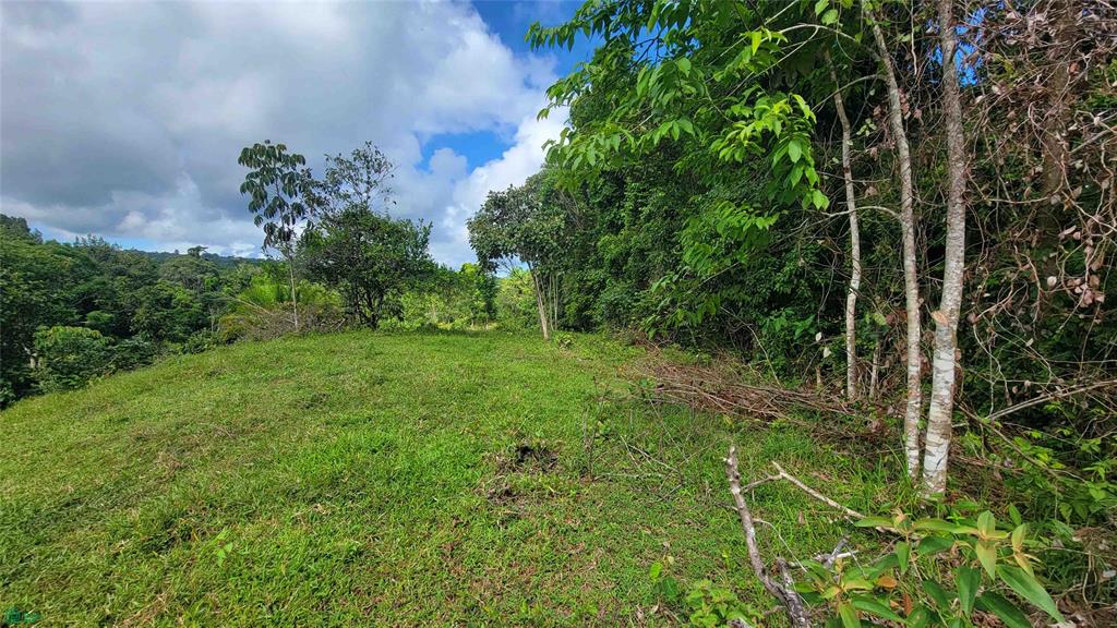  bed Land For Sale in Golfito, Puntarenas - 1