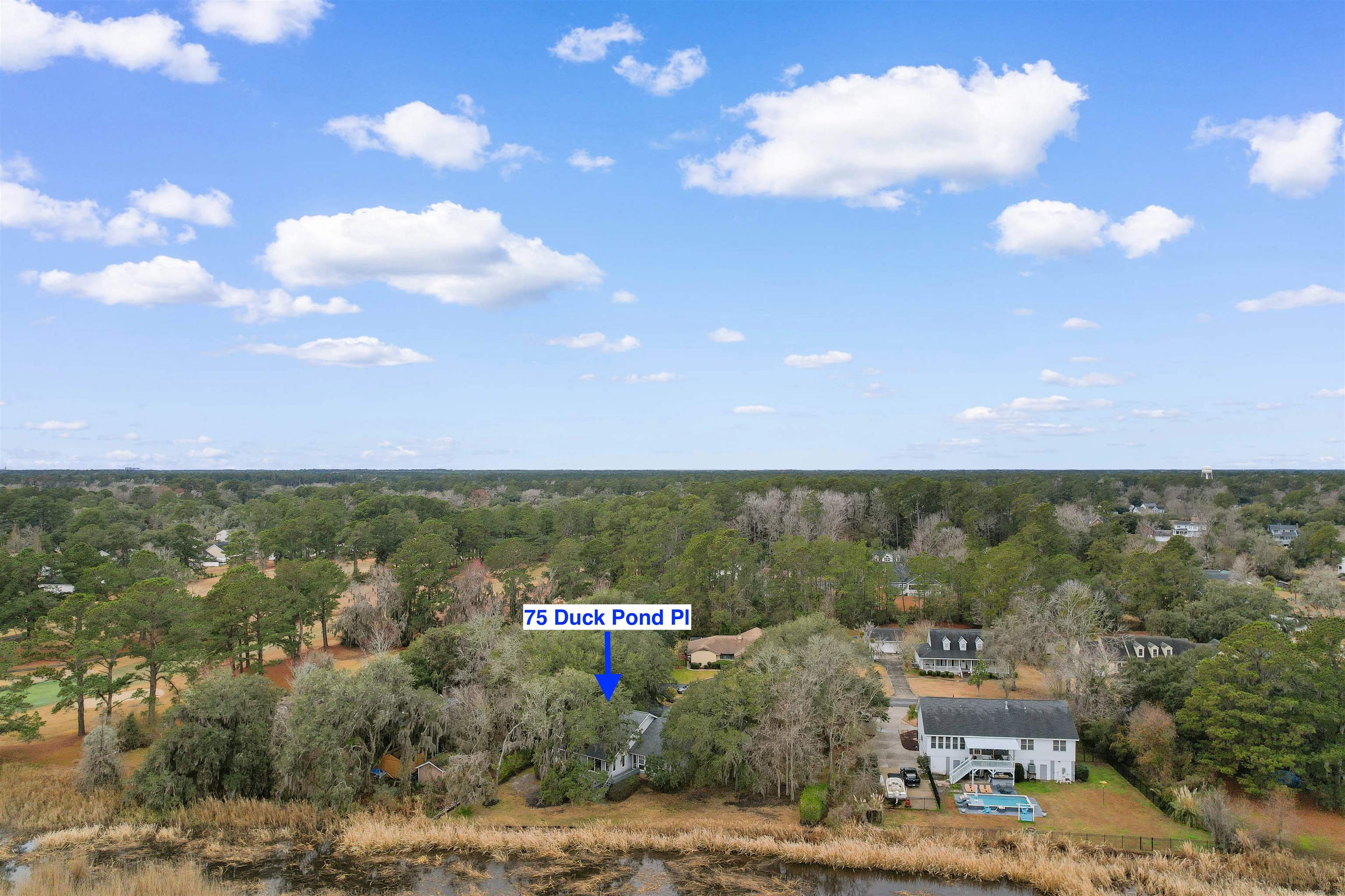 2604483 | Photo 39