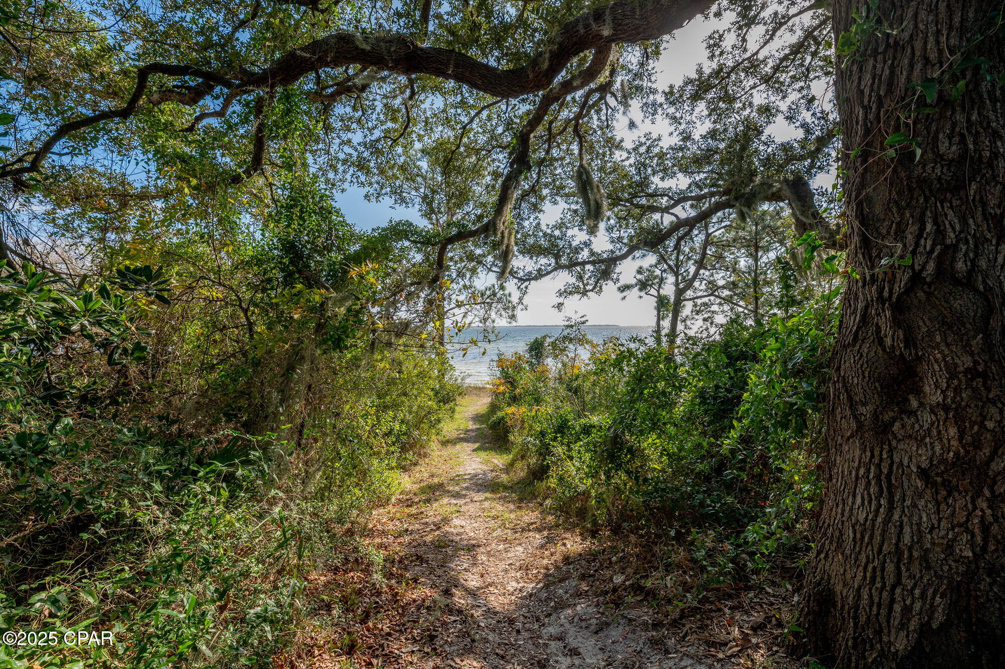 Image 59 For 3533 Sanctuary Drive