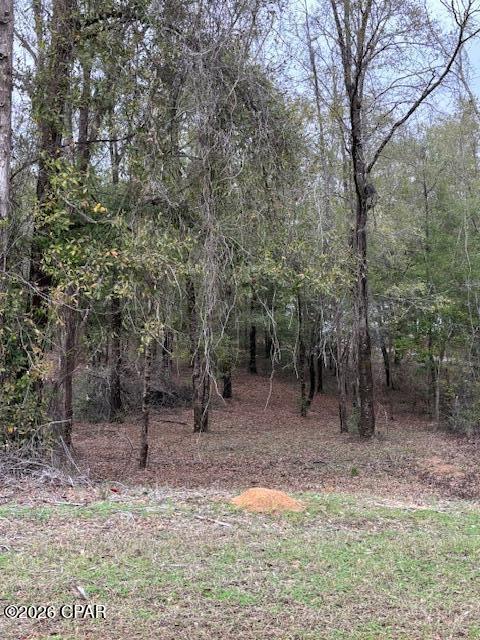 Image 10 For 2816 Territory Road