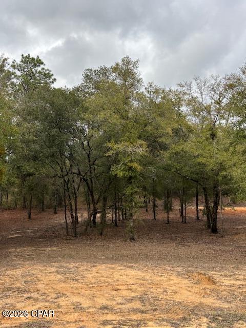 Image 5 For 2816 Territory Road